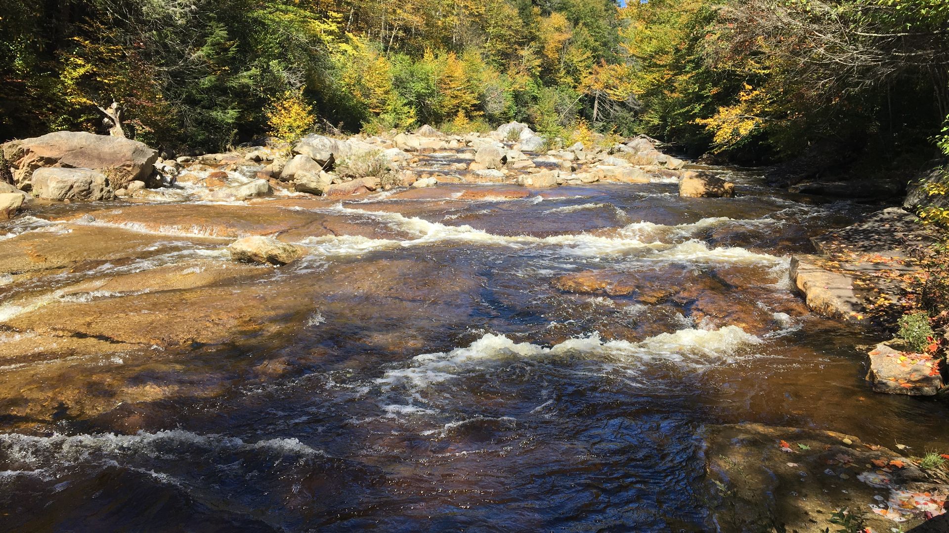 Red Creek, Dolly Sods Wilderness, Tucker County, West Virginia, USA, near its confluence with Fisher Spring Run.