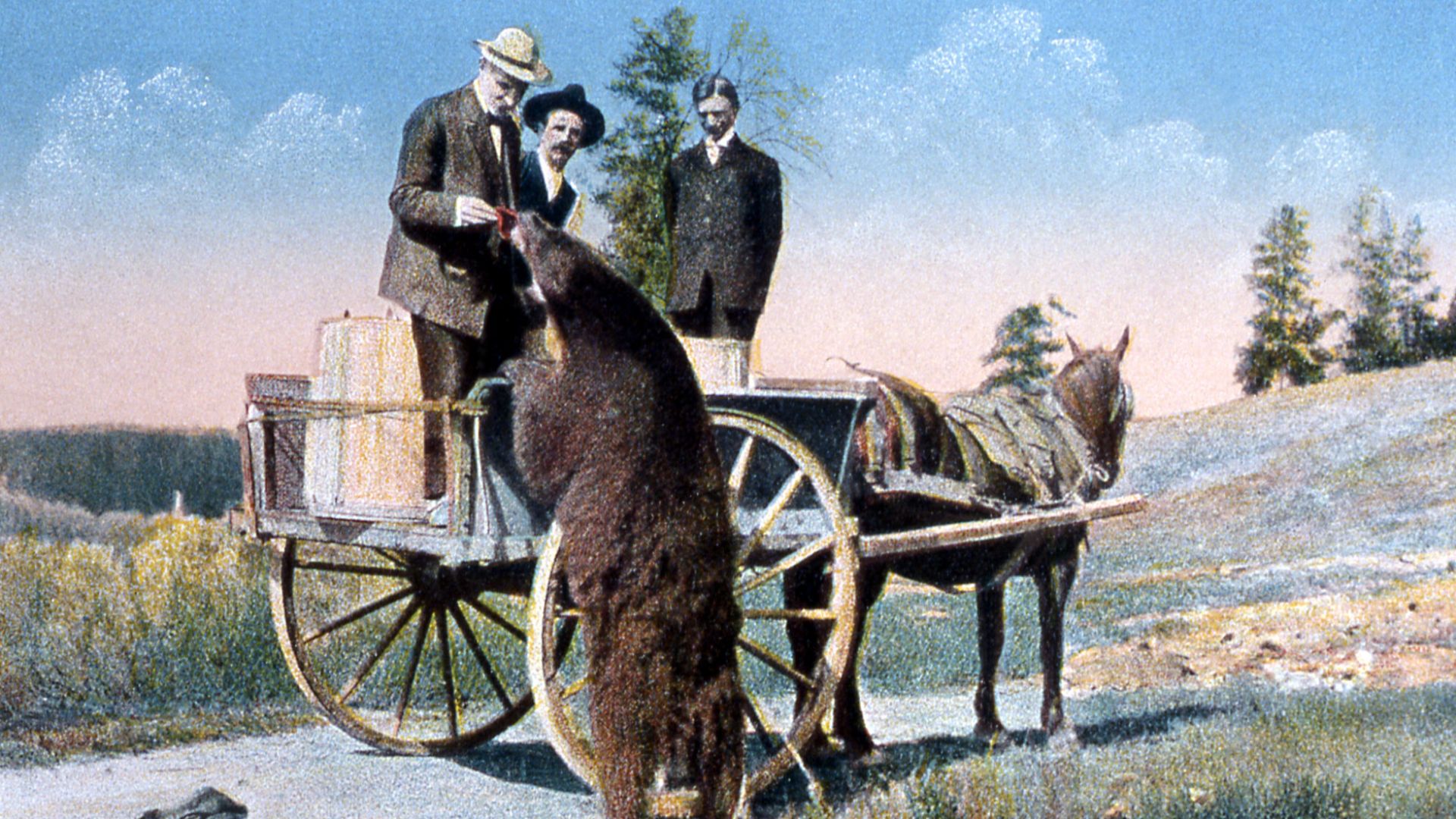 Tourist feeding a bear;
Frank J Haynes;
No date;

catalog#DSF11535