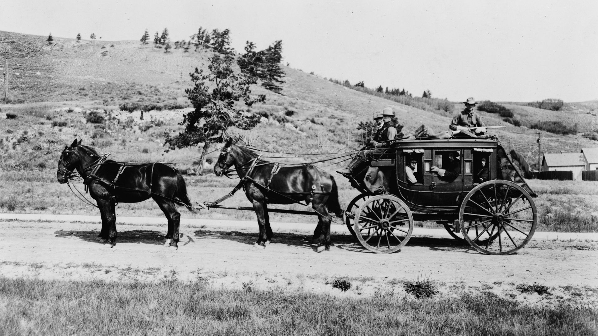 Title: Old stagecoach, Yellowstone National Park, Wyoming
Abstract/medium: 1 photographic print.