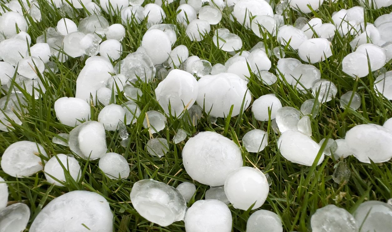 Close-up of hailstones on grass after thunderstorm