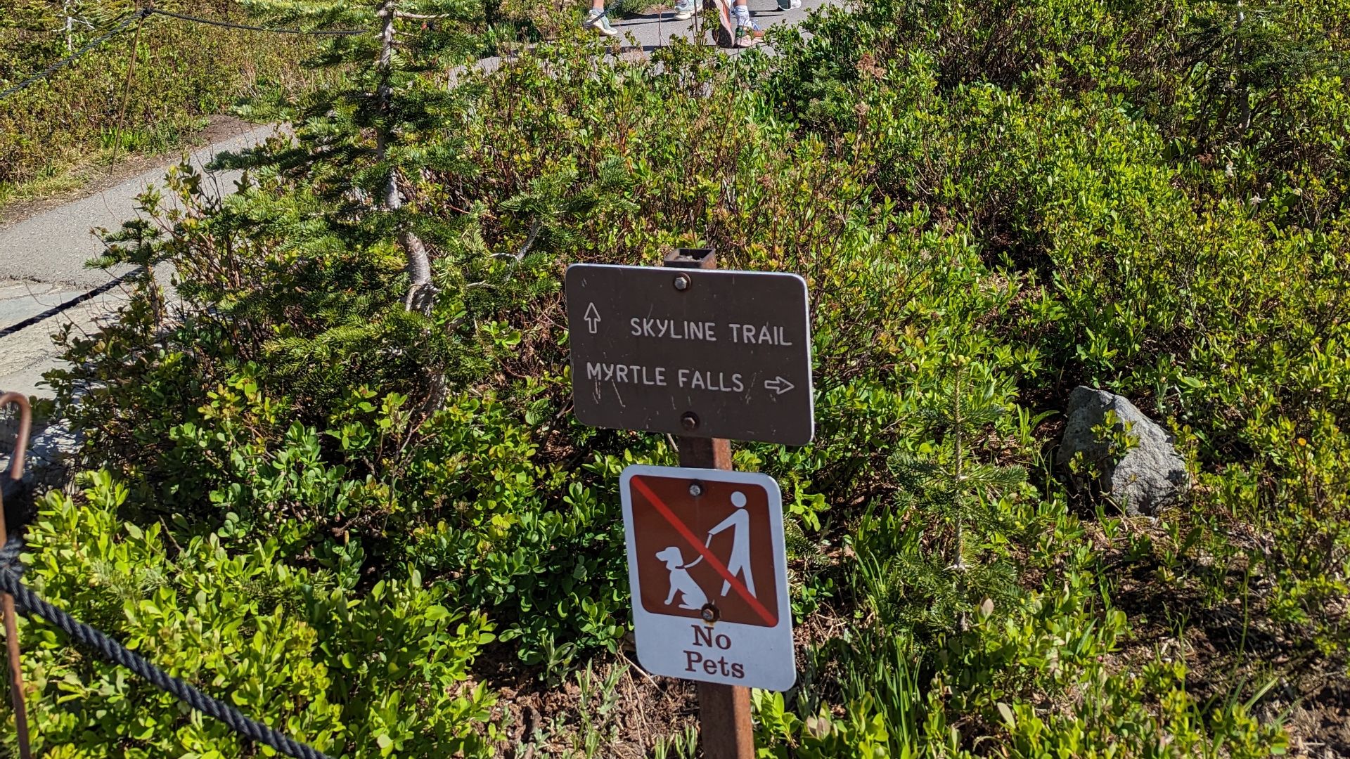 Paradise - Skyline Trail