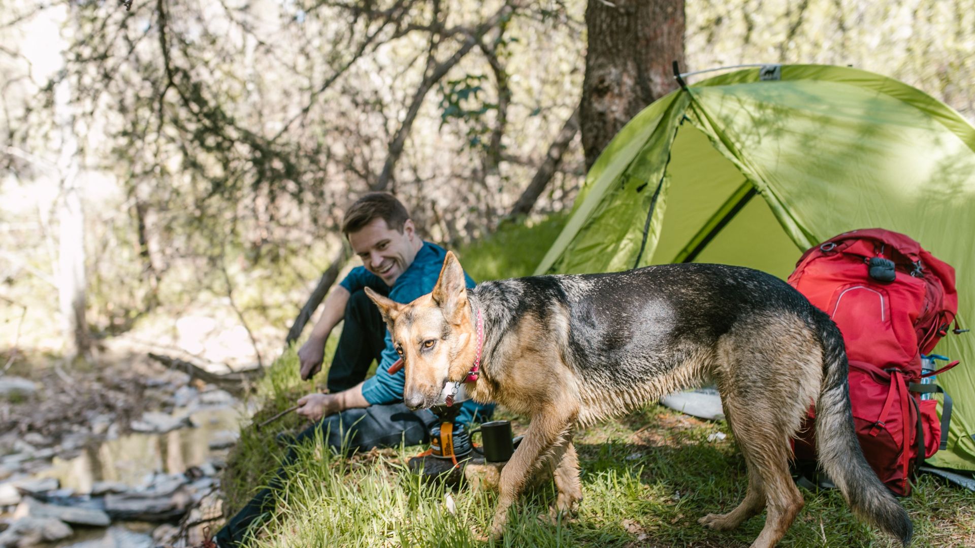 A man and his German Shepherd enjoying a serene camping trip by a forest stream.