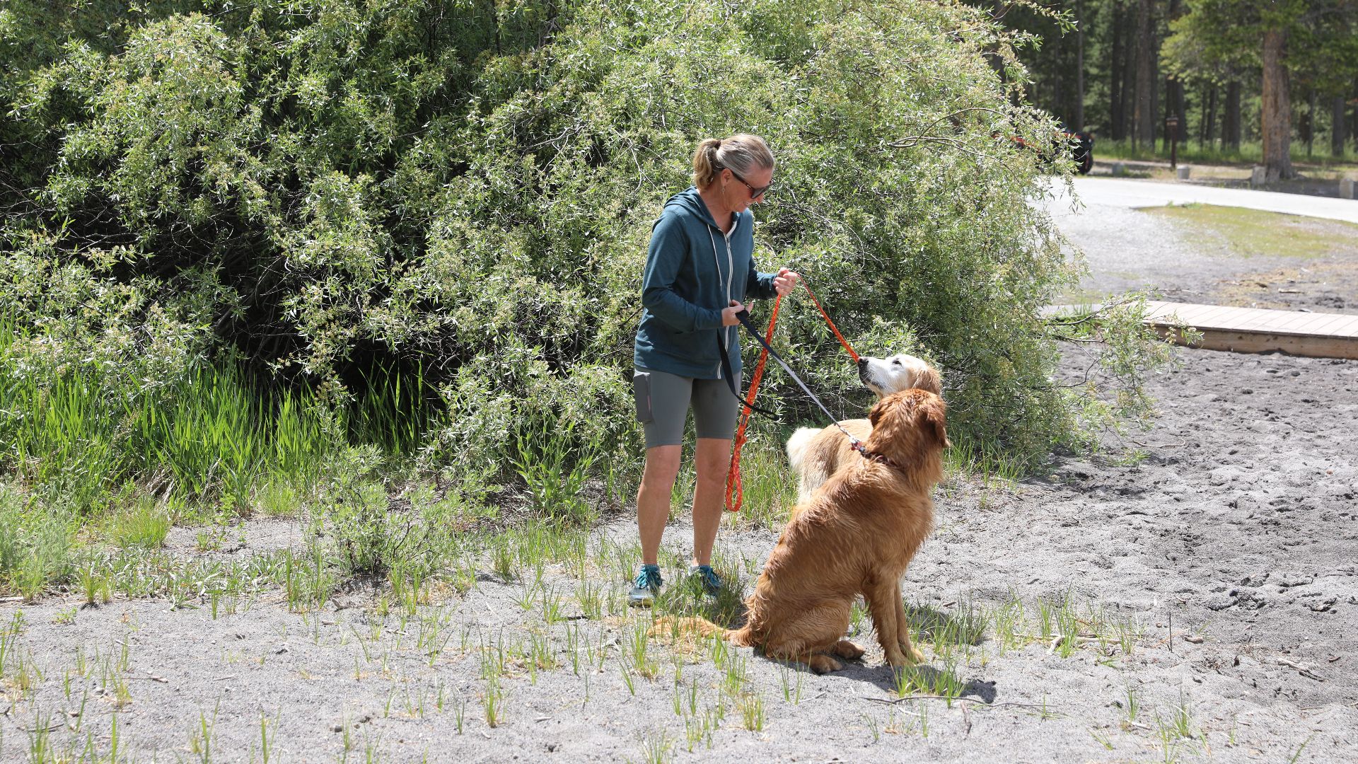 Forest visitor and their dogs at the Rainbow Point boat launch on the Hebgen Lake Ranger District of the Custer Gallatin National Forest. USDA Forest Service photo by Charity Parks.