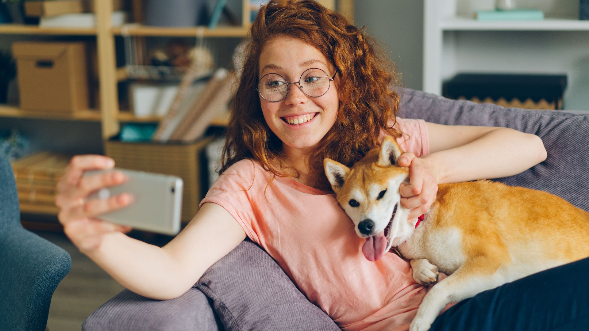 A happy woman taking a selfie with her cute Shiba Inu dog on a living room sofa.