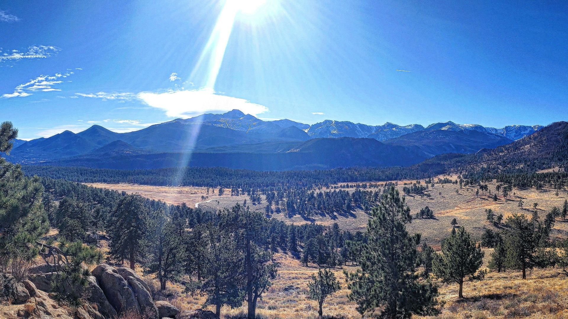 a landscape with trees and mountains