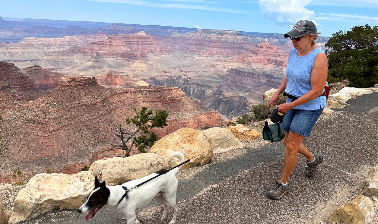 Grand Canyon National Park 1583885231