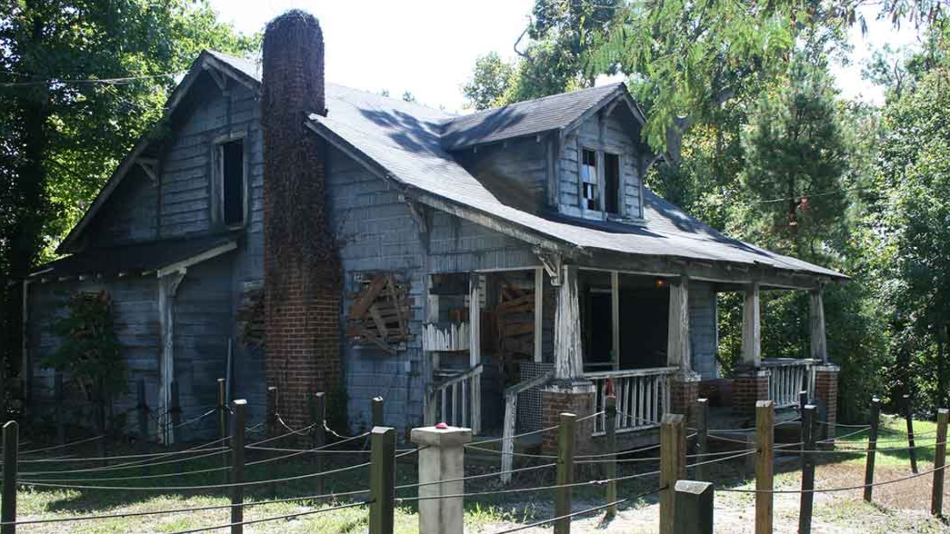 Photograph of the
