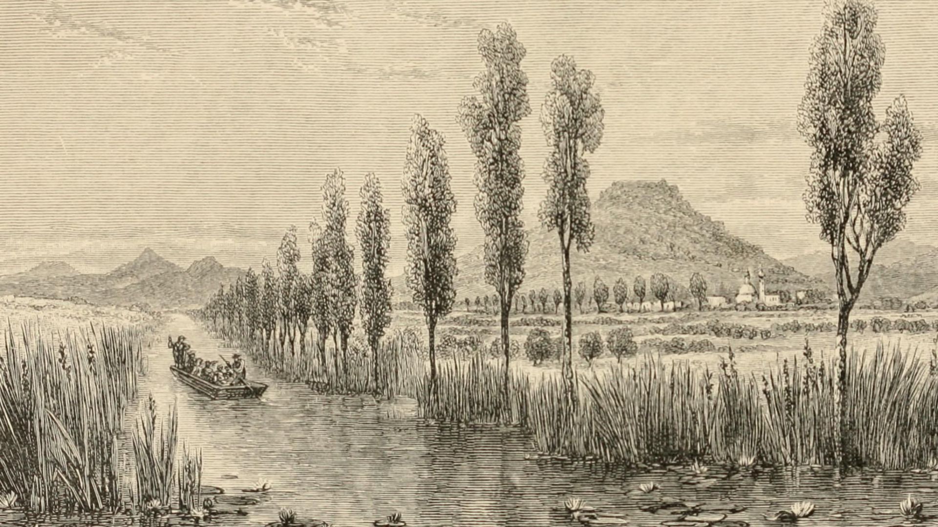 Identifier: mexicotodaycount00brocuoft (find matches)
Title: Mexico to-day, a country with a great future; and a glance at the prehistoric remains and antiquities of the Montezumas
Year: 1883 (1880s)
Authors:  Brocklehurst, Thomas Unett
Subjects:  Mexico 