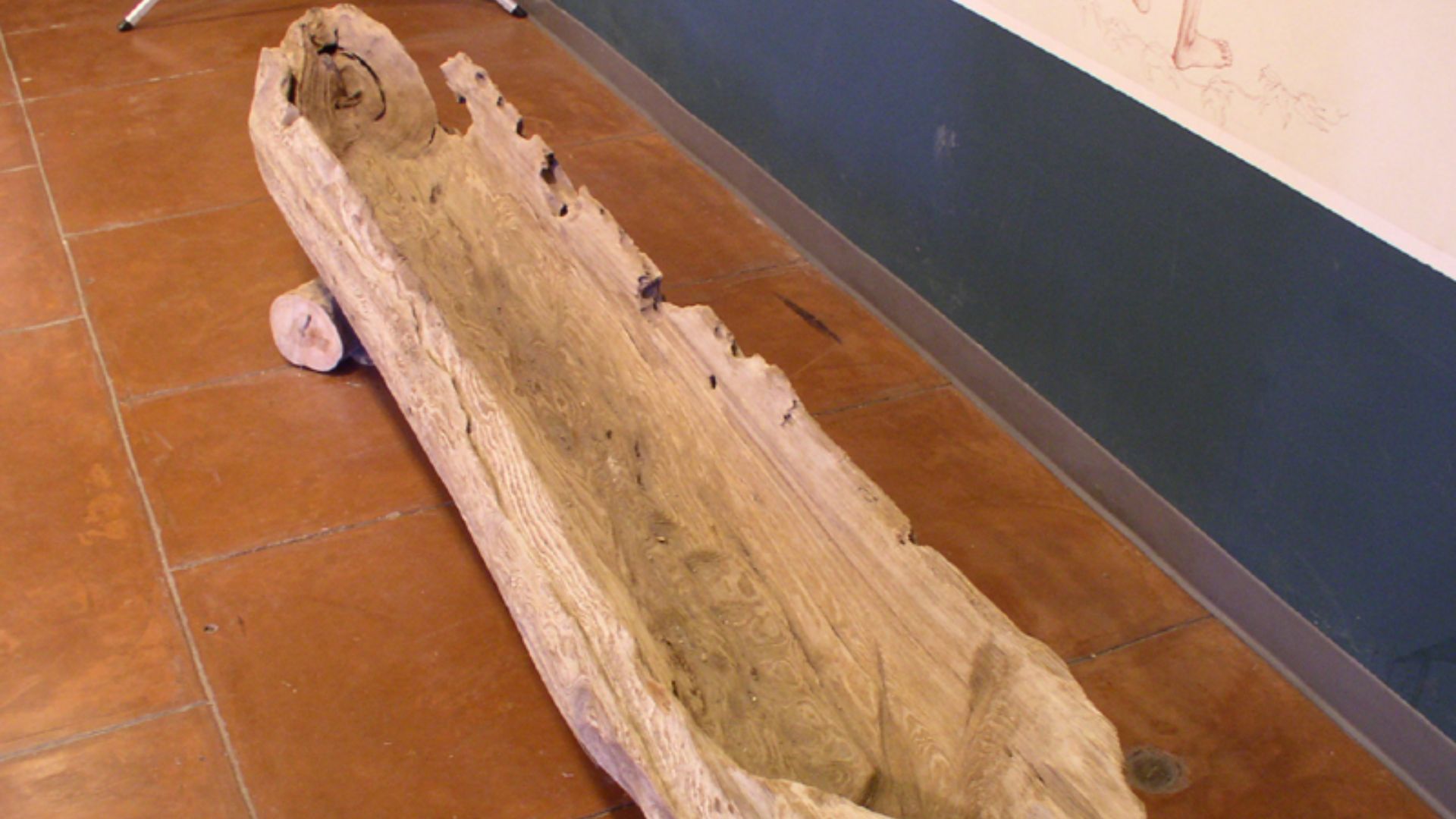 Prehistoric Native American dugout canoe on display at the Winterville Mounds onsite museum near Greenville, Mississippi.