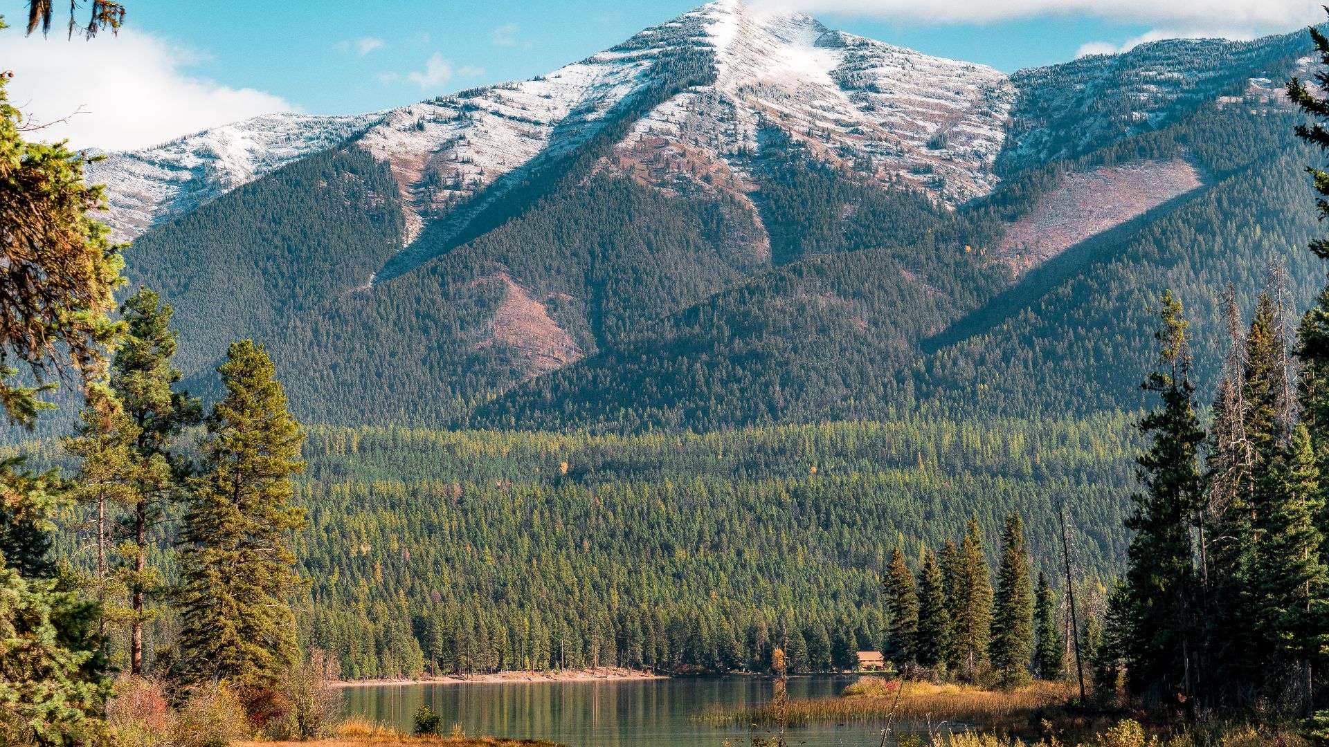 In the heart of the Rocky Mountains, west of the continental divide and just south of the Canadian border, lies the 2.4 million acre Flathead National Forest in Montana. Home to lynx, grizzly bear, and bull trout; with numerous lakes, streams, and rivers 