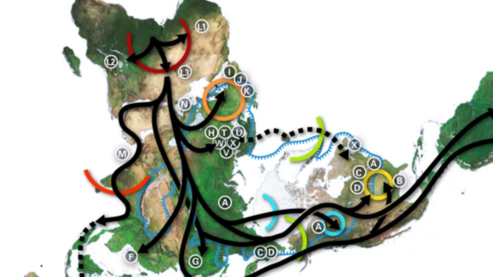 File:World map of prehistoric human migrations.jpg