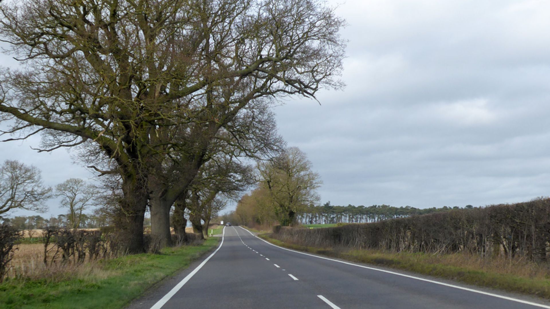 A134 towards Thetford