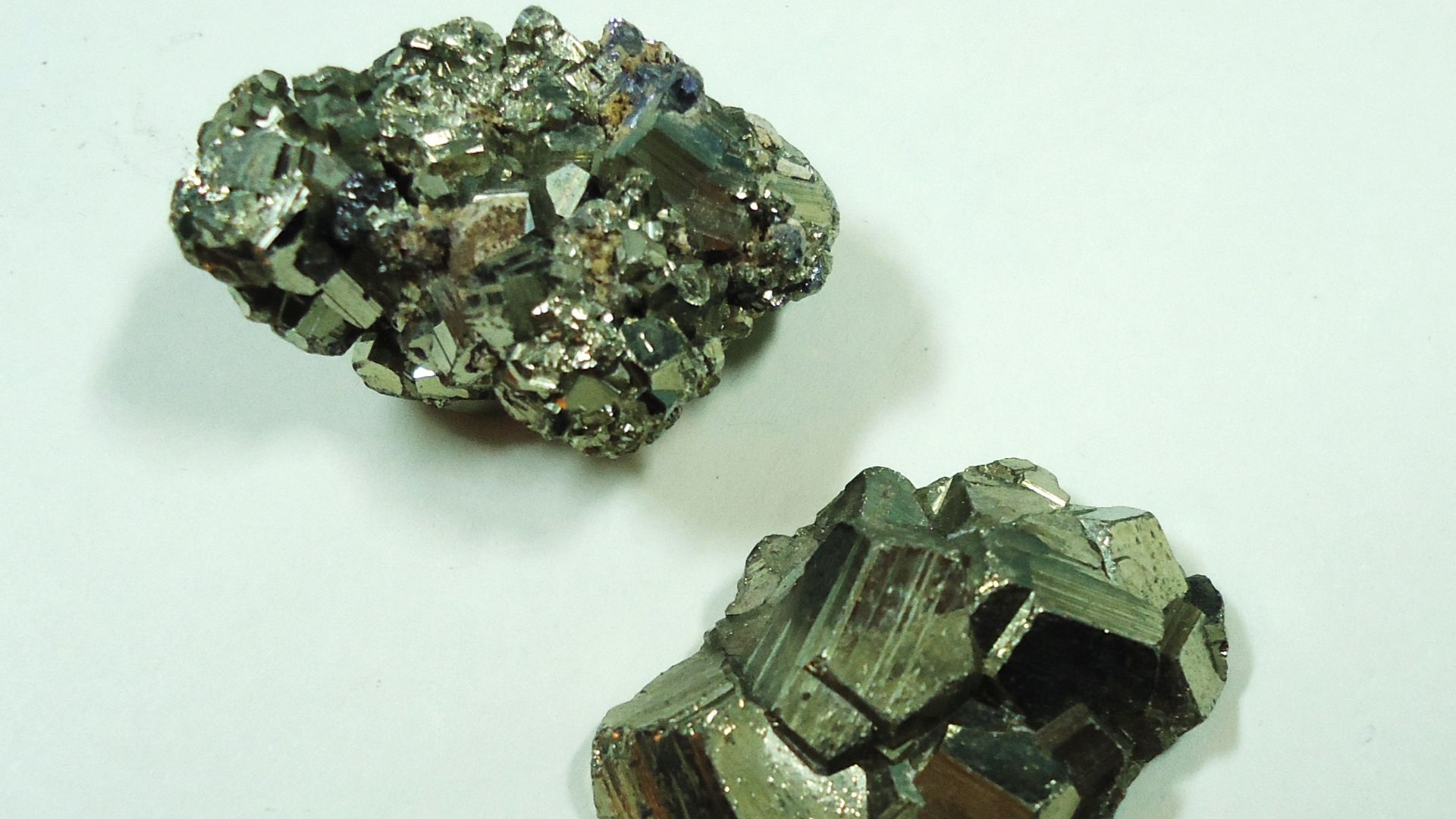 Length: about 25 mm each. Origin: Brazil