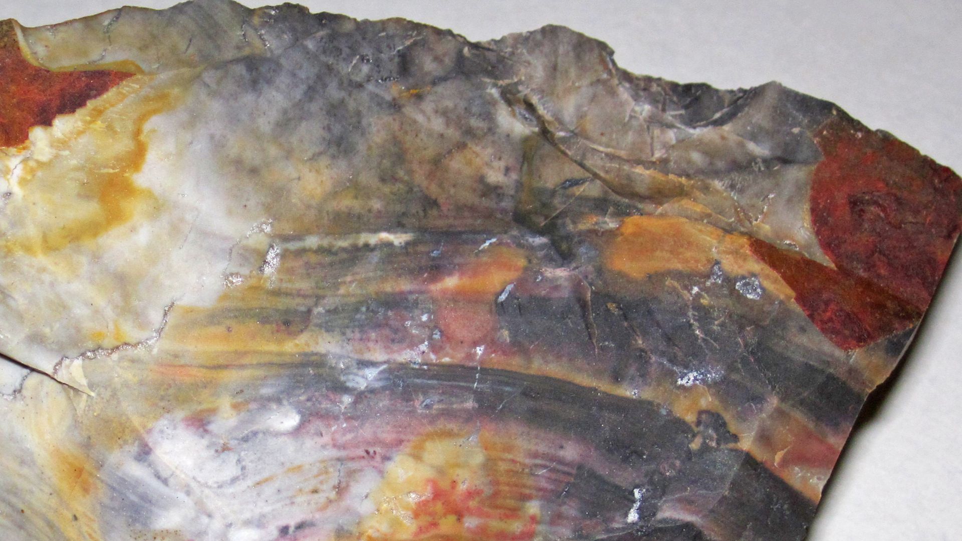 Flint from the the Pennsylvanian of Ohio, USA.
Flint is the