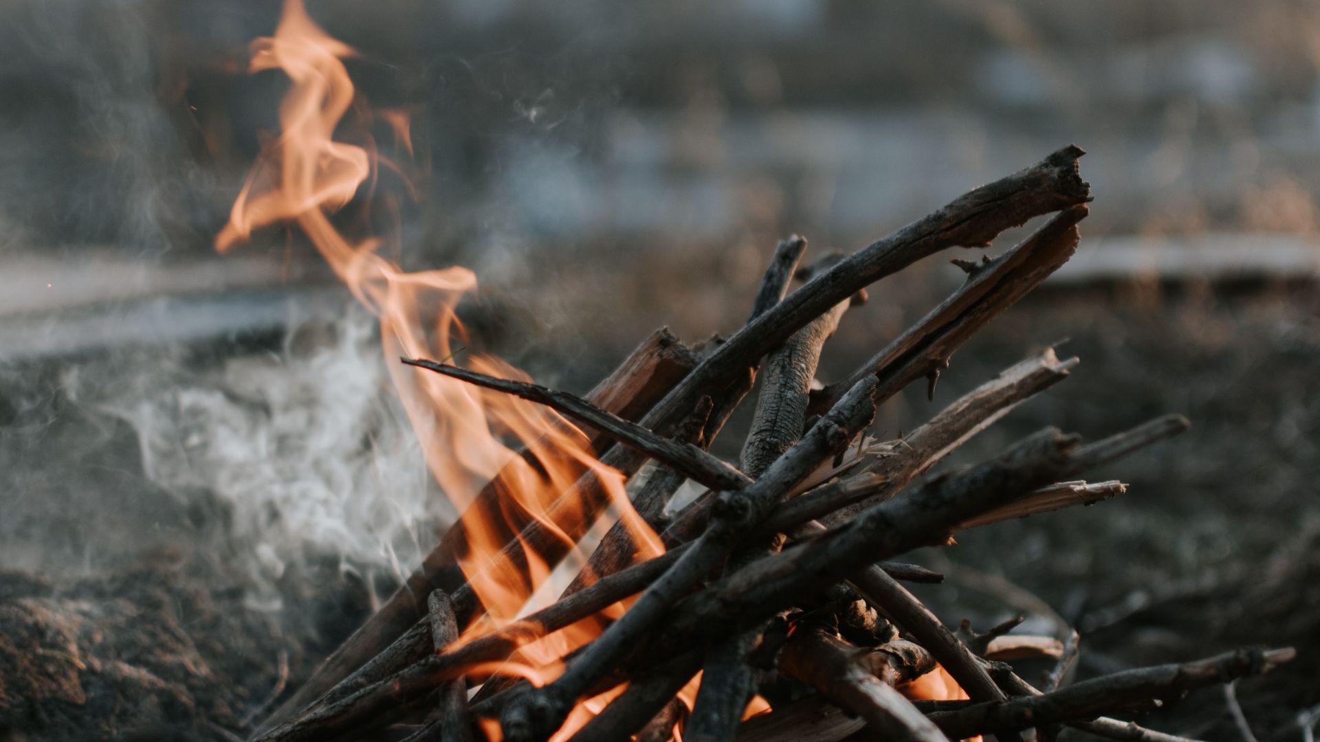 A close-up of a bonfire with burning branches outdoors, creating a warm ambiance.