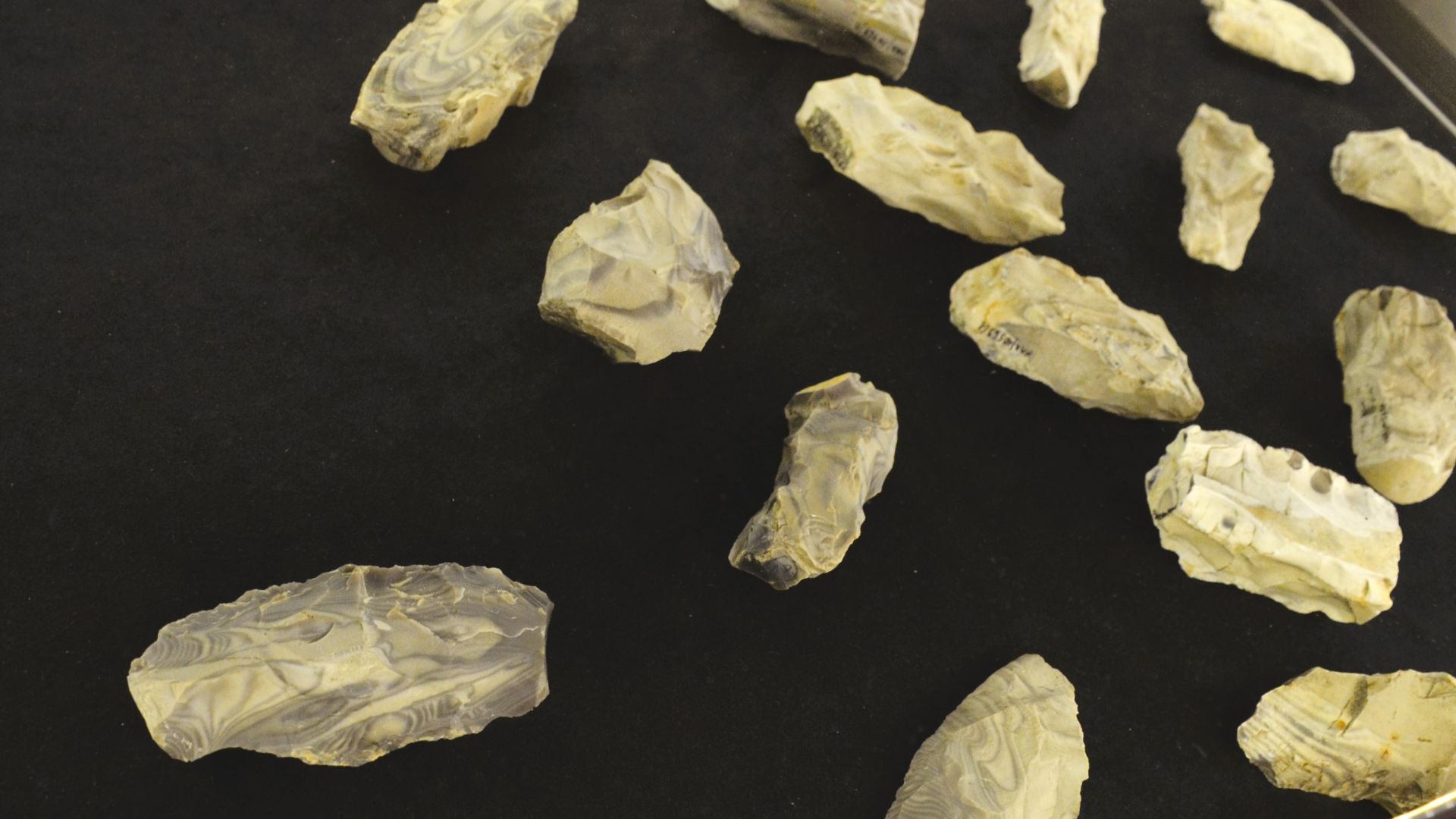 Neolithic striped flint tools from Krzemionki