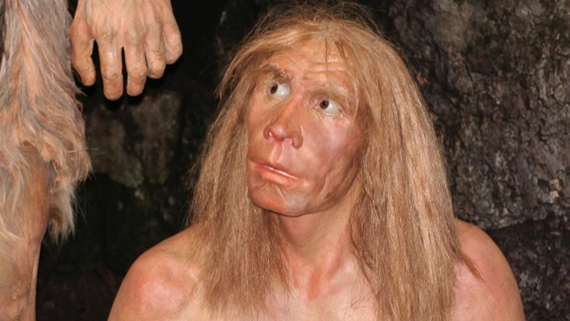 diegartenprofis