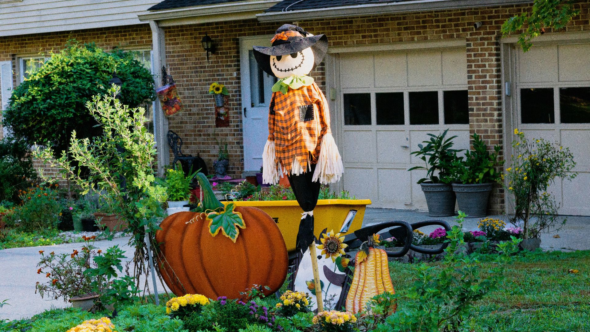 a scarecrow in a pumpkin costume in a yard