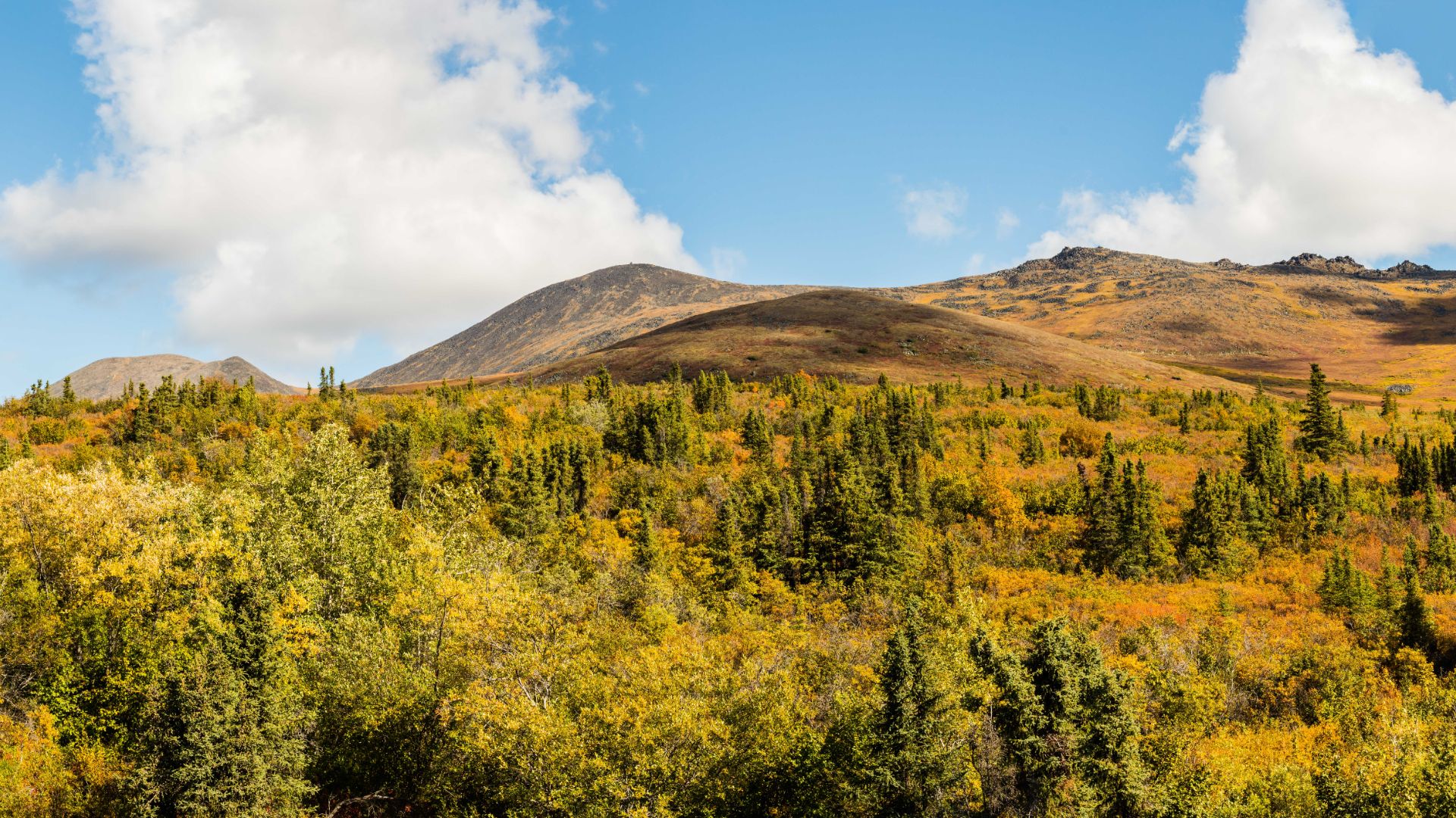 Landscape in the Southeast of Fairbanks, Alaska, United States