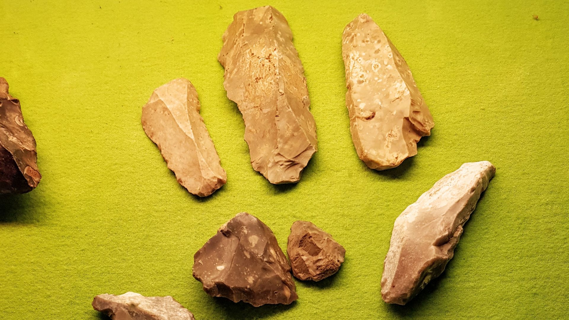 Ausstellung in der Burgschänke, Steinwerkzeuge, Mittelsteinzeit ca. 10.000 Jahre alt.