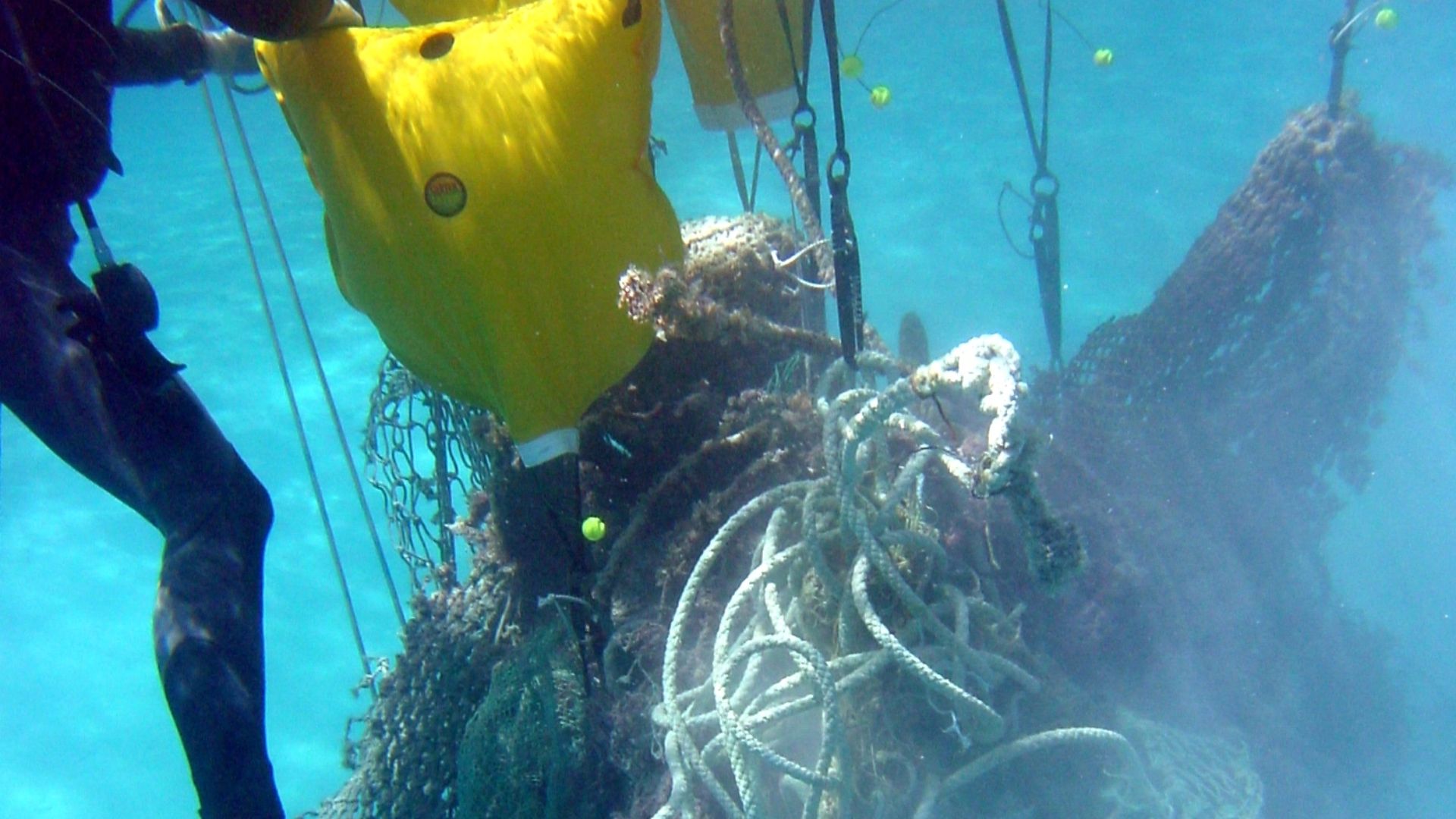 Lift bags bringing derelict net debris to the surface.  Northwest Hawaiian Islands, Pearl and Hermes Atoll.