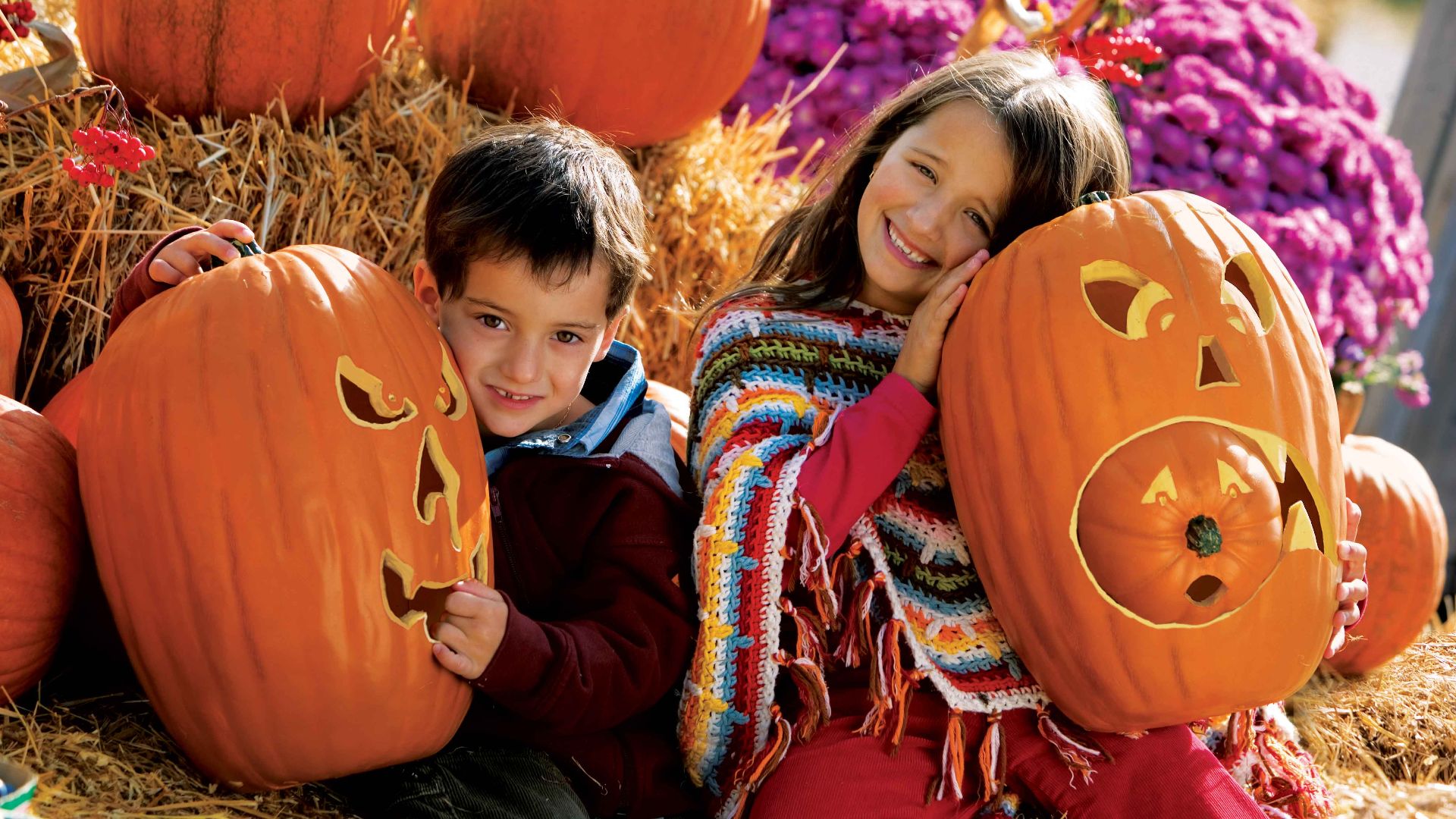 Children have tons of activities to choose from when visiting New Brunswick.