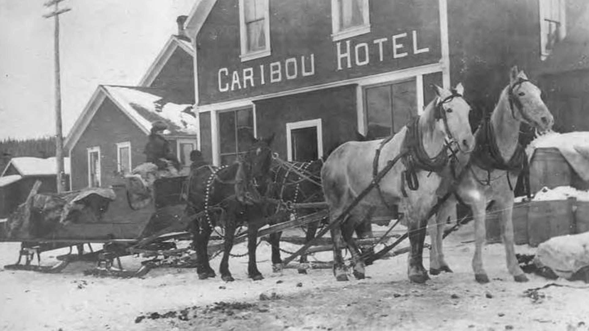 Written on page: Stage line Caribou to Conrad.
PH Coll 41.82a
Subjects (LCTGM): Horses--Yukon--Caribou Crossing; Horse teams--Yukon--Caribou Crossing; Sleds & sleighs--Yukon--Caribou Crossing; Hotels--Yukon--Caribou Crossing; Wooden buildings--Yukon--Cari