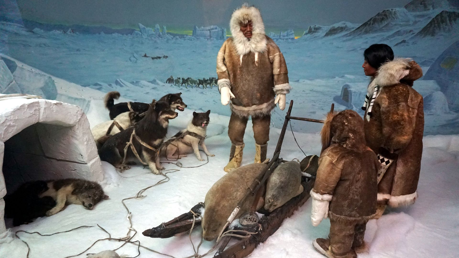 The Return from the Hunt: Netsilik Inuit Igloo diorama in the Arctic exhibit at the Milwaukee Public Museum in Milwaukee, Wisconsin (United States).