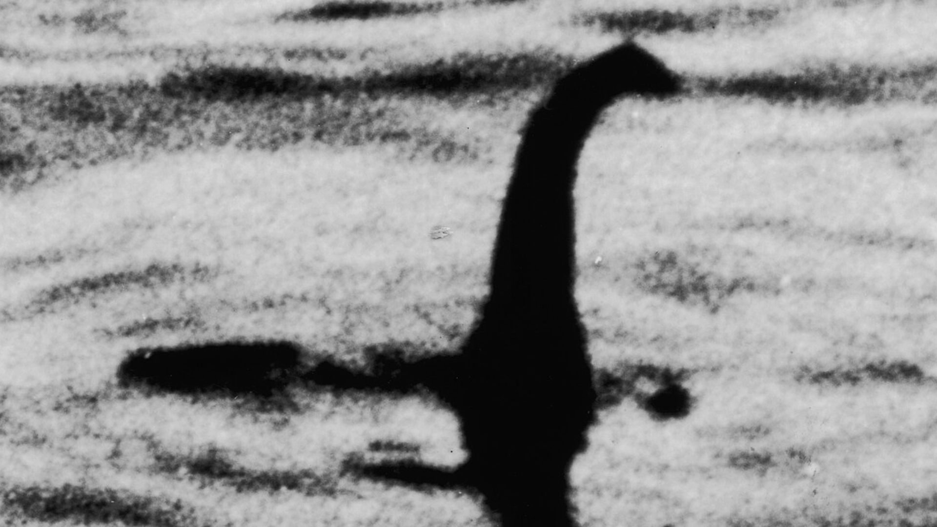 nessie monster