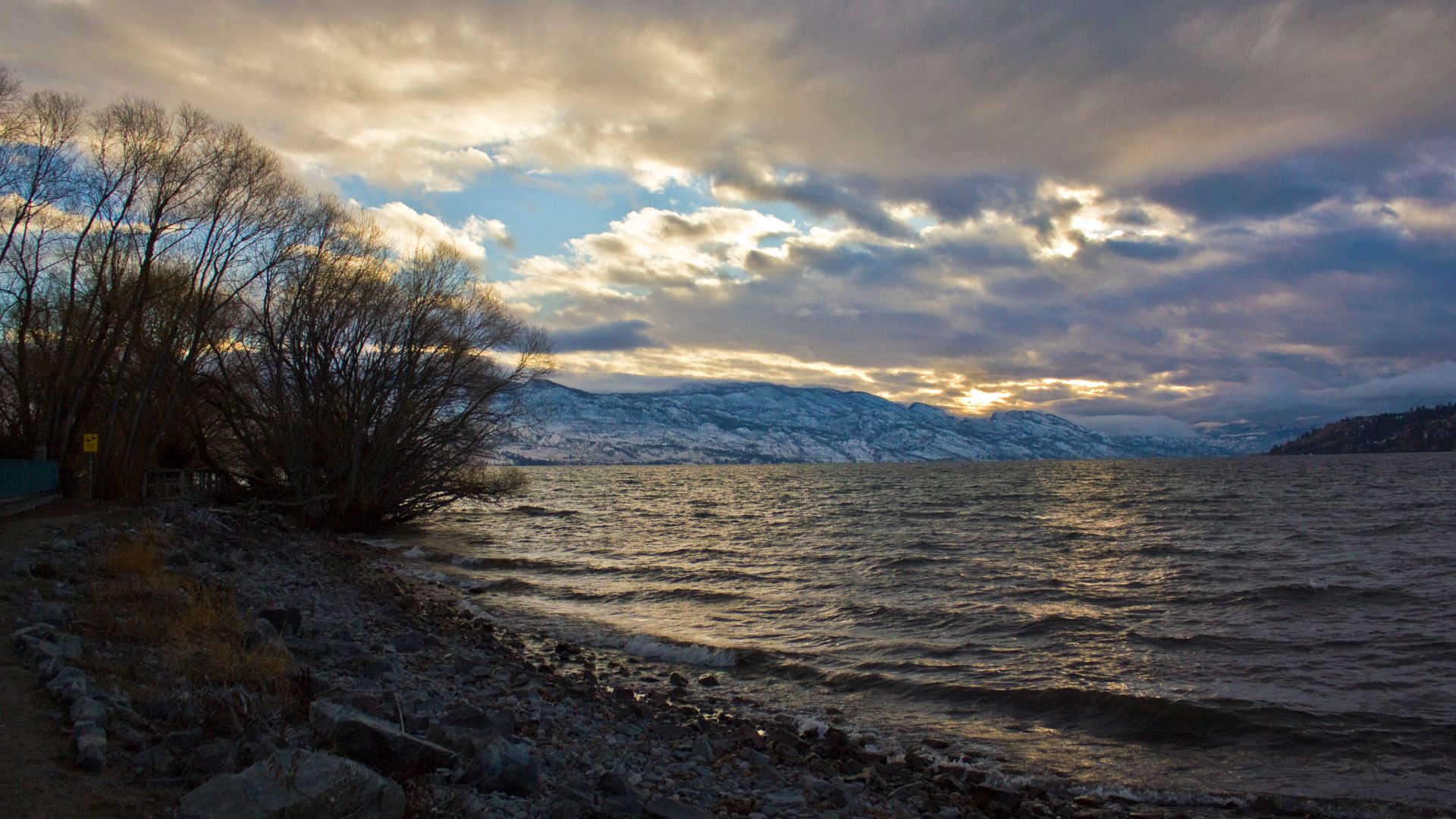 near Maude Roxby Wetland in winter , Kelowna BC Canada
photography by russdionne.com