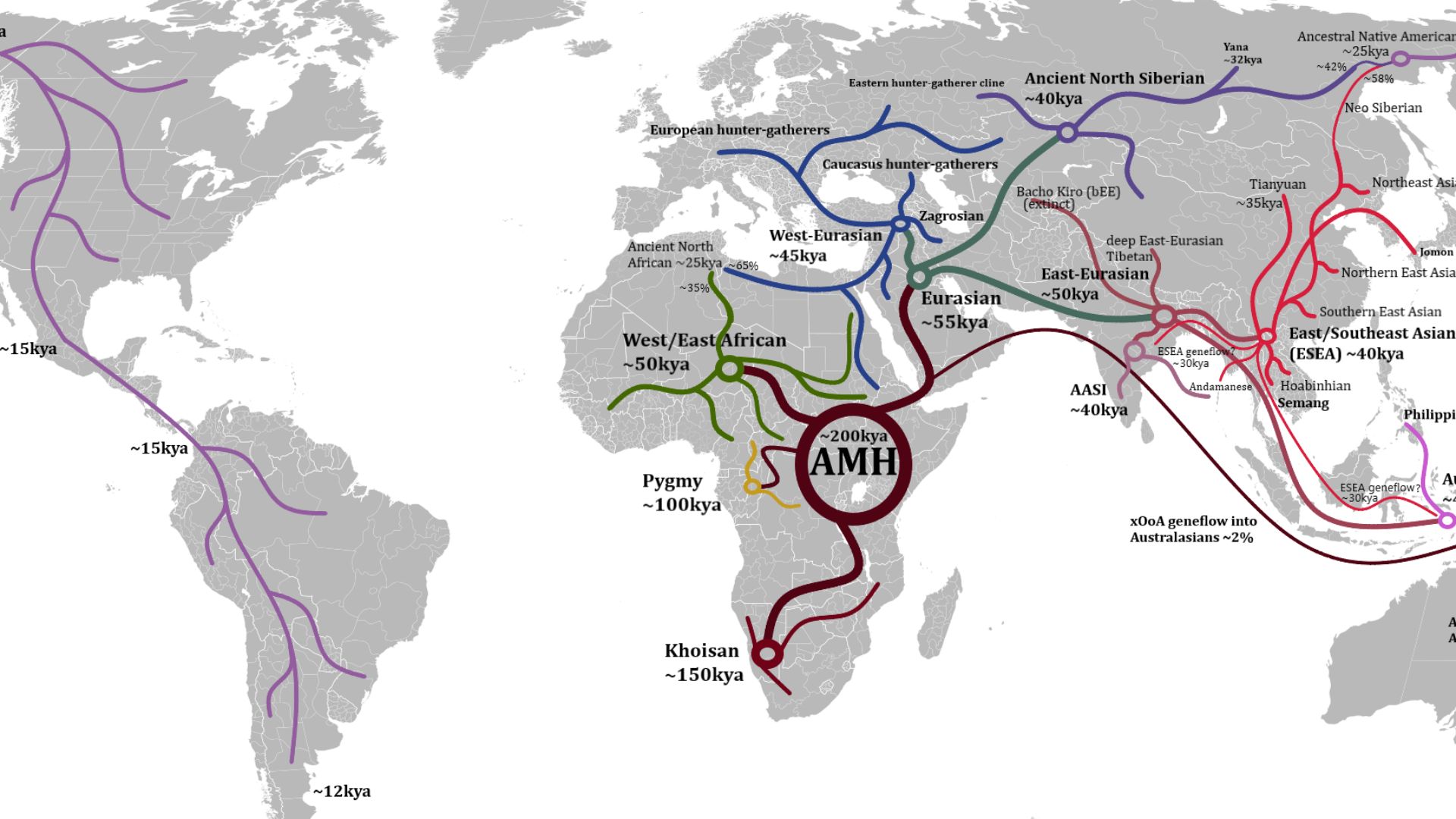 This map shows the human migration routes and proposed split/arrival times, after the Out-of-Africa event.