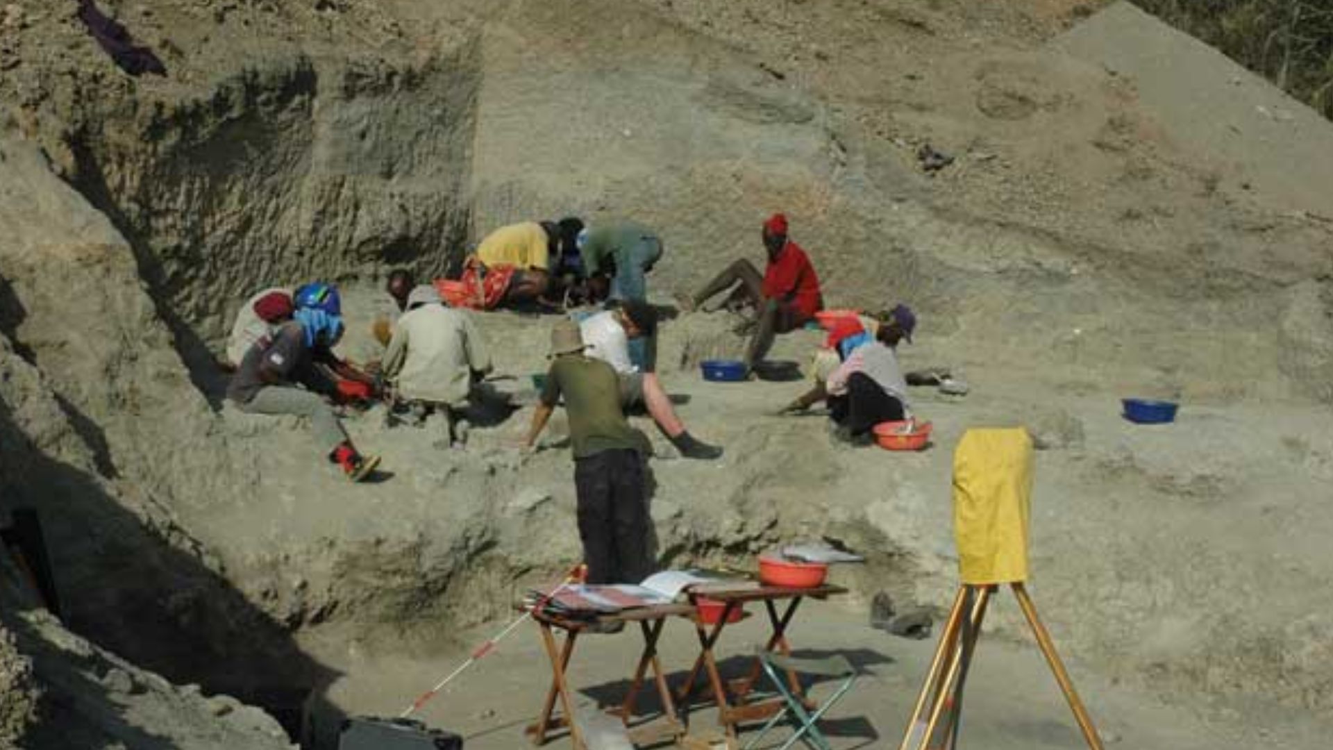 The Olduvai Geochronology and Archaeology Project’s excavations at Henrietta Wilfrida Korongo East East (HWKEE), an Oldowan site in the lower part of Middle Bed II.