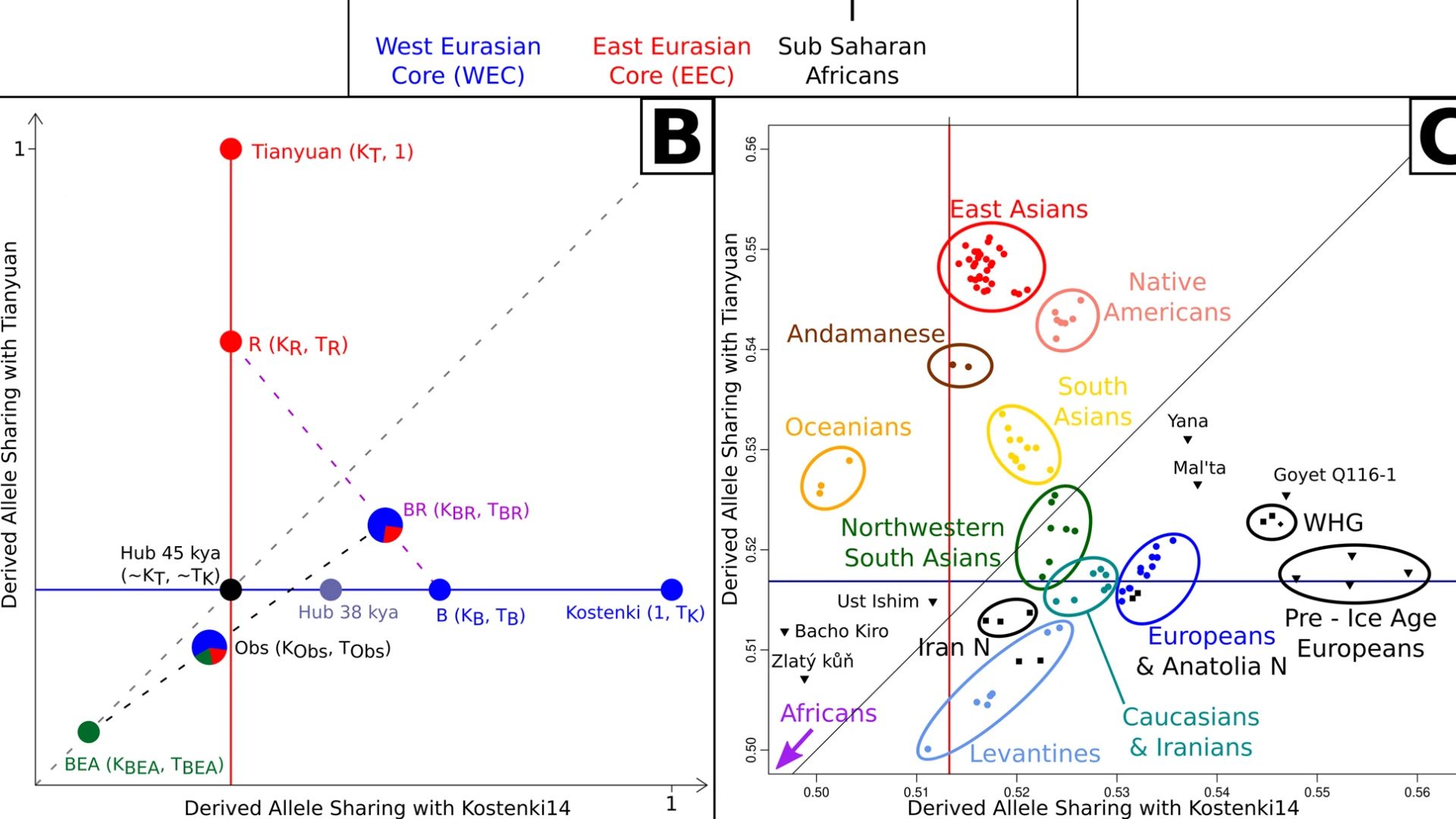 Relationship and legacy of the West and East Eurasian Core populations;
Summary of the major population events (A) and schematic representation of our reference space and expected position of admixed and unadmixed populations (B – note that this panel is
