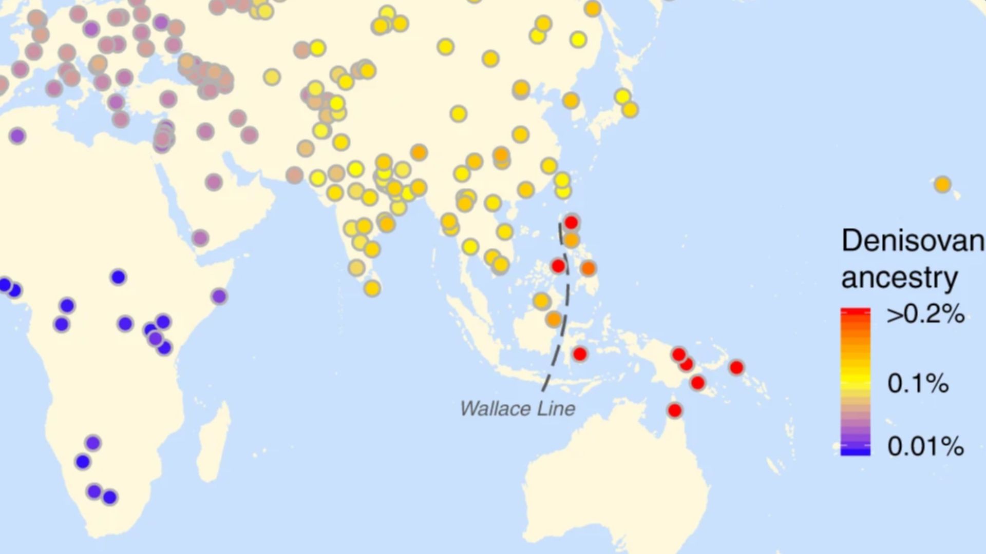 Yuan (2021) Fig. 3- Archaic introgression in modern humans across the world (Denisovan only)