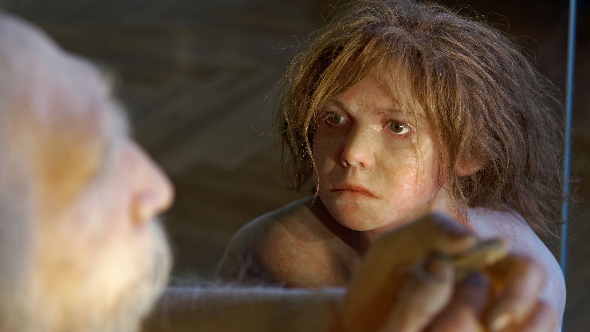 Model of Homo neanderthalensis child in The Natural History Museum, Vienna