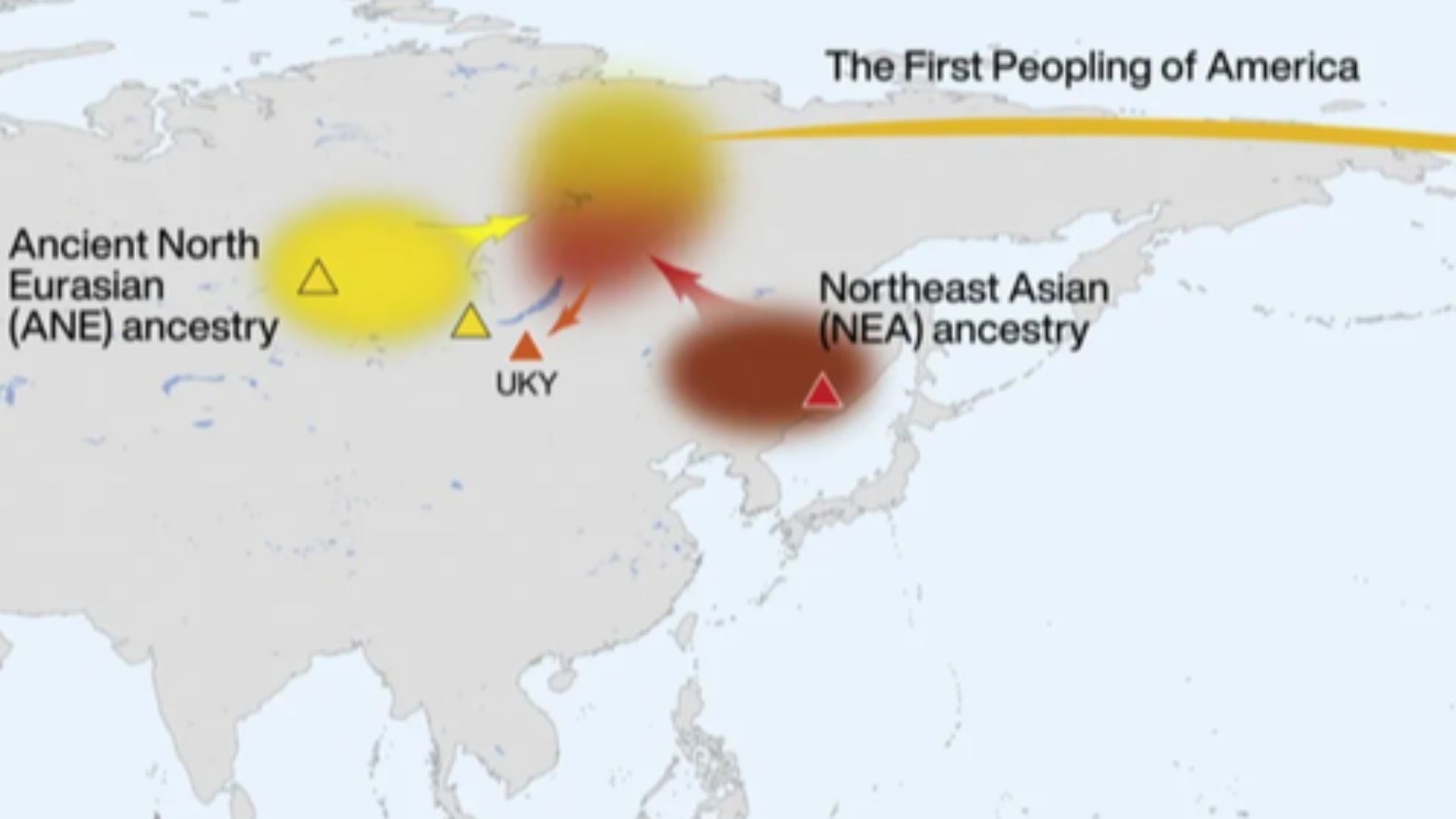 The map shows the origin of the first major wave of Native Americans. Involved are the ANE (Ancestral Northern Eurasian, which are related to Europeans) and the NEA (Northeast Asians, which are an East Asian-related people). The admixture happened somewhe