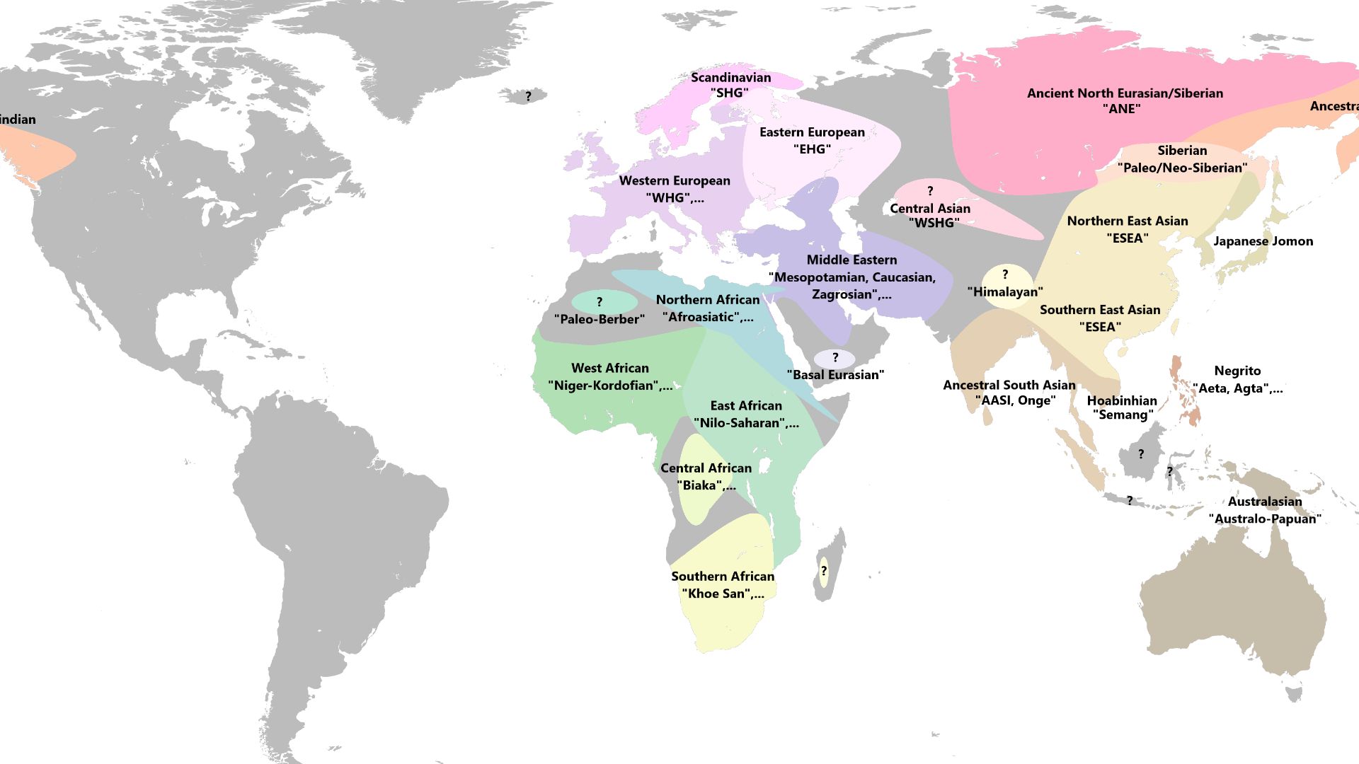 This map shows the ancestral population substructure (genetic lineages) of modern humans about 30-15kya. The shown ancestral components are each diverged from each other around ~30,000 years ago, and represent the specific ancestry found among modern popu