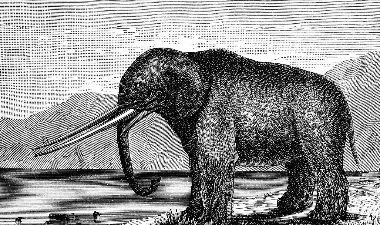 Mastodon