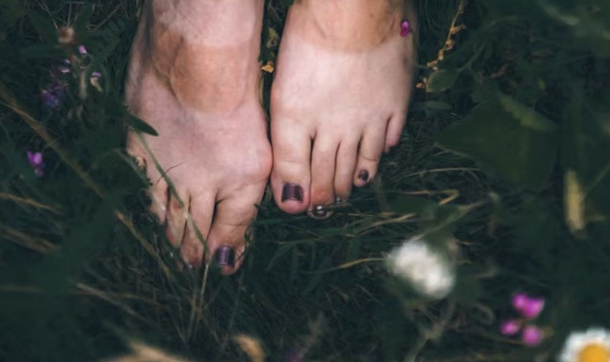 Feet in a summer garden surrounded by colorful wildflowers and lush greenery