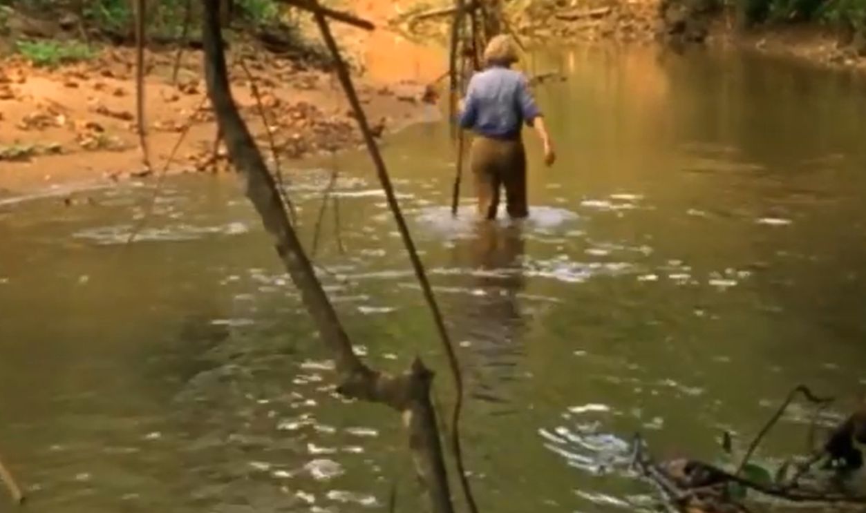 Screenshot from Wings of Hope (1998)