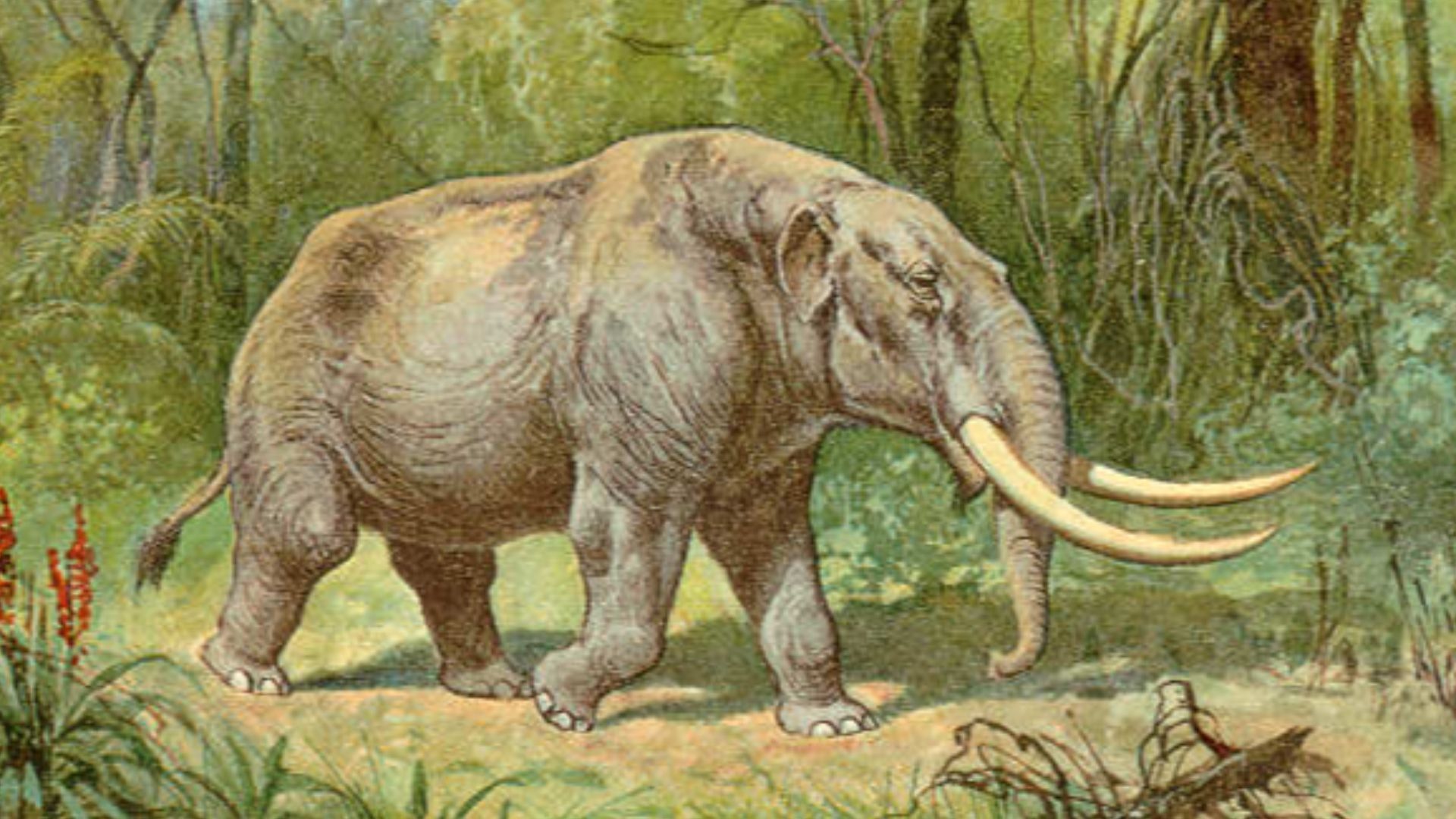 Mastodon