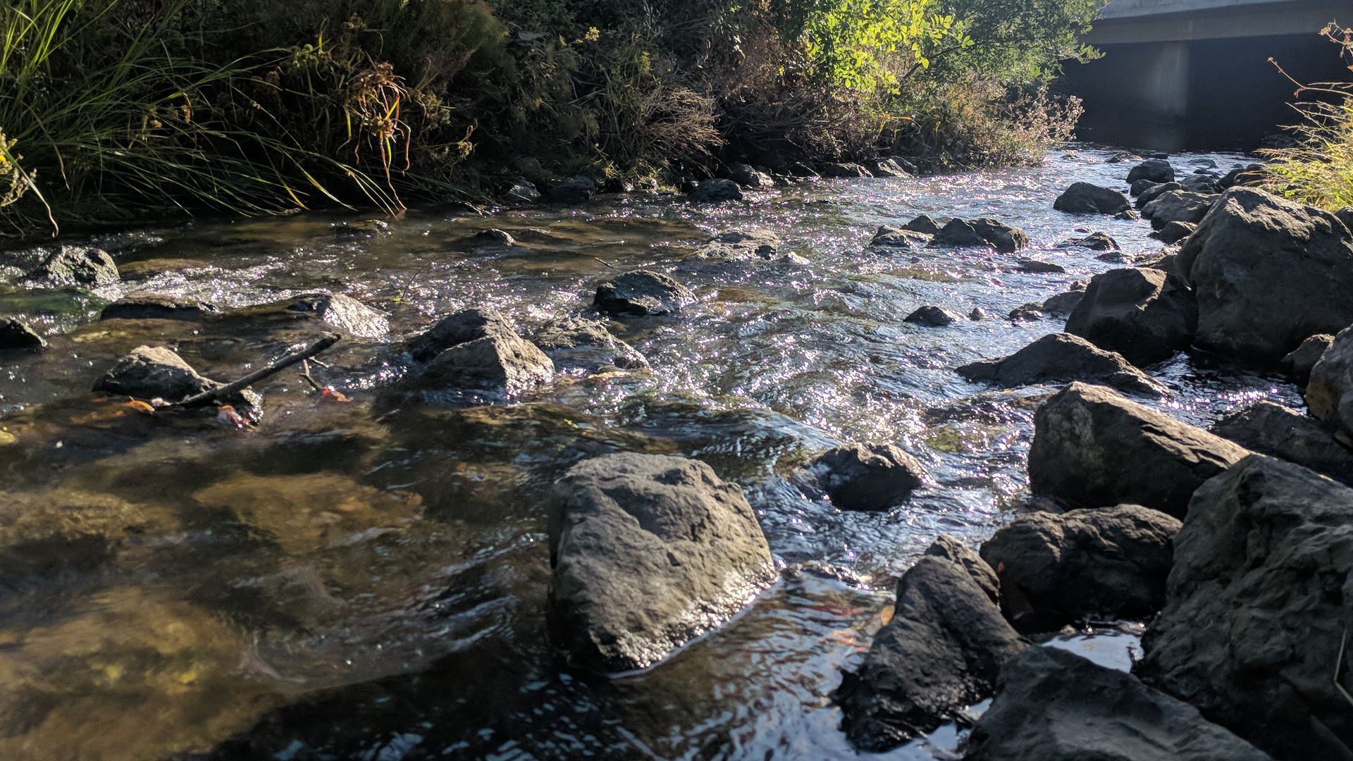 San Mateo Creek, just downstream of Gateway Park (Humboldt & Third bridge is visible in the background), west of US 101.
