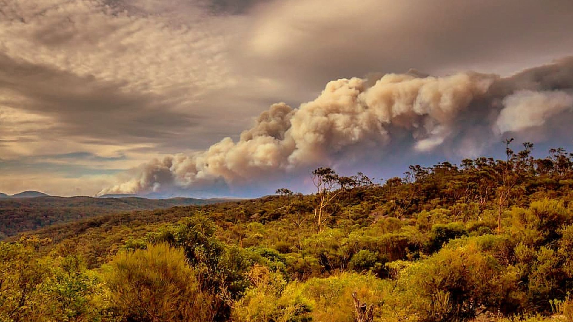 Blue Mountains bushfire (Gospers Mountain, NSW Australia, December 2019)