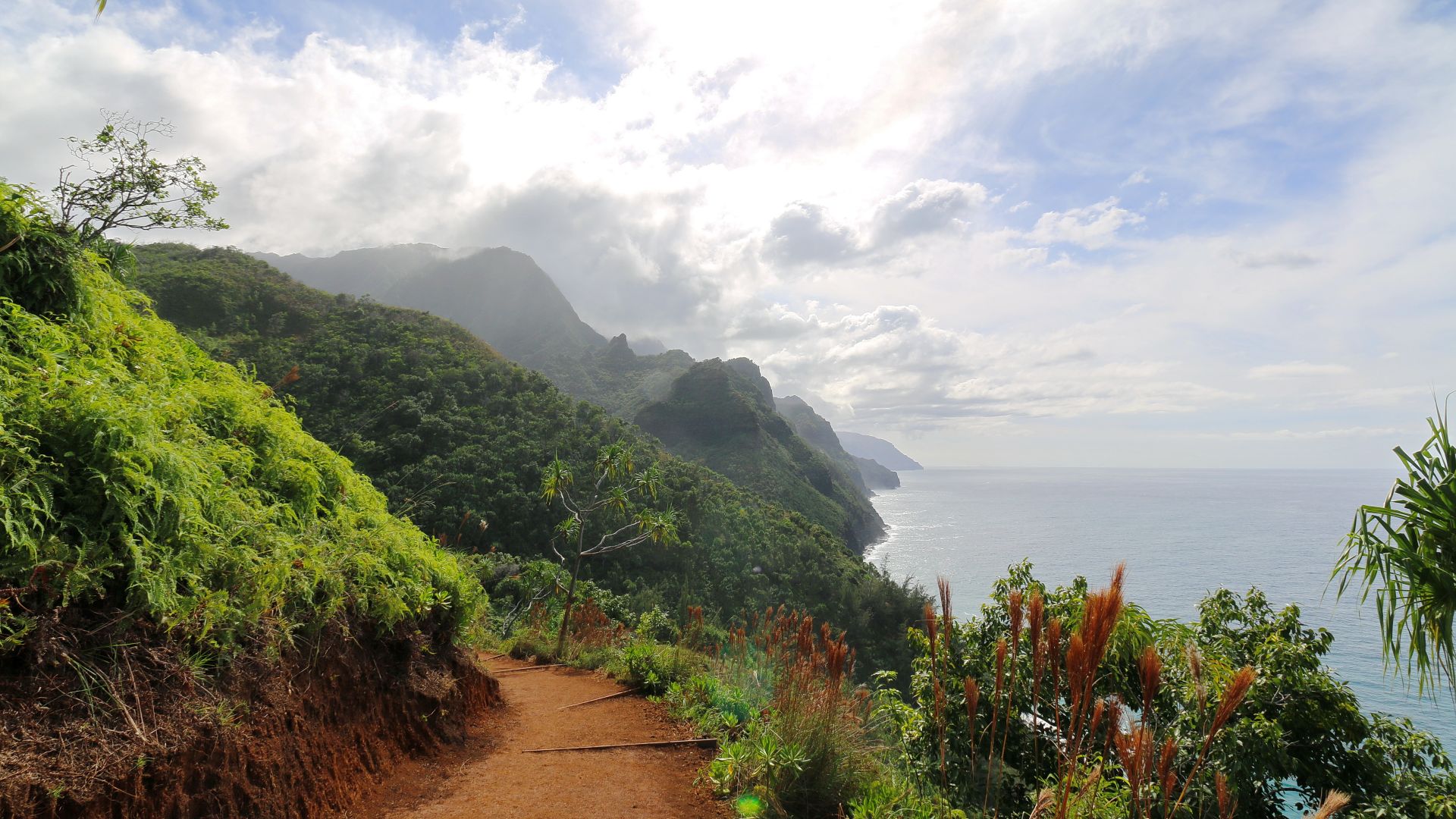 Kalalau Trail, Napali Coast, Kapaa, Kauai, Hawaii, United States