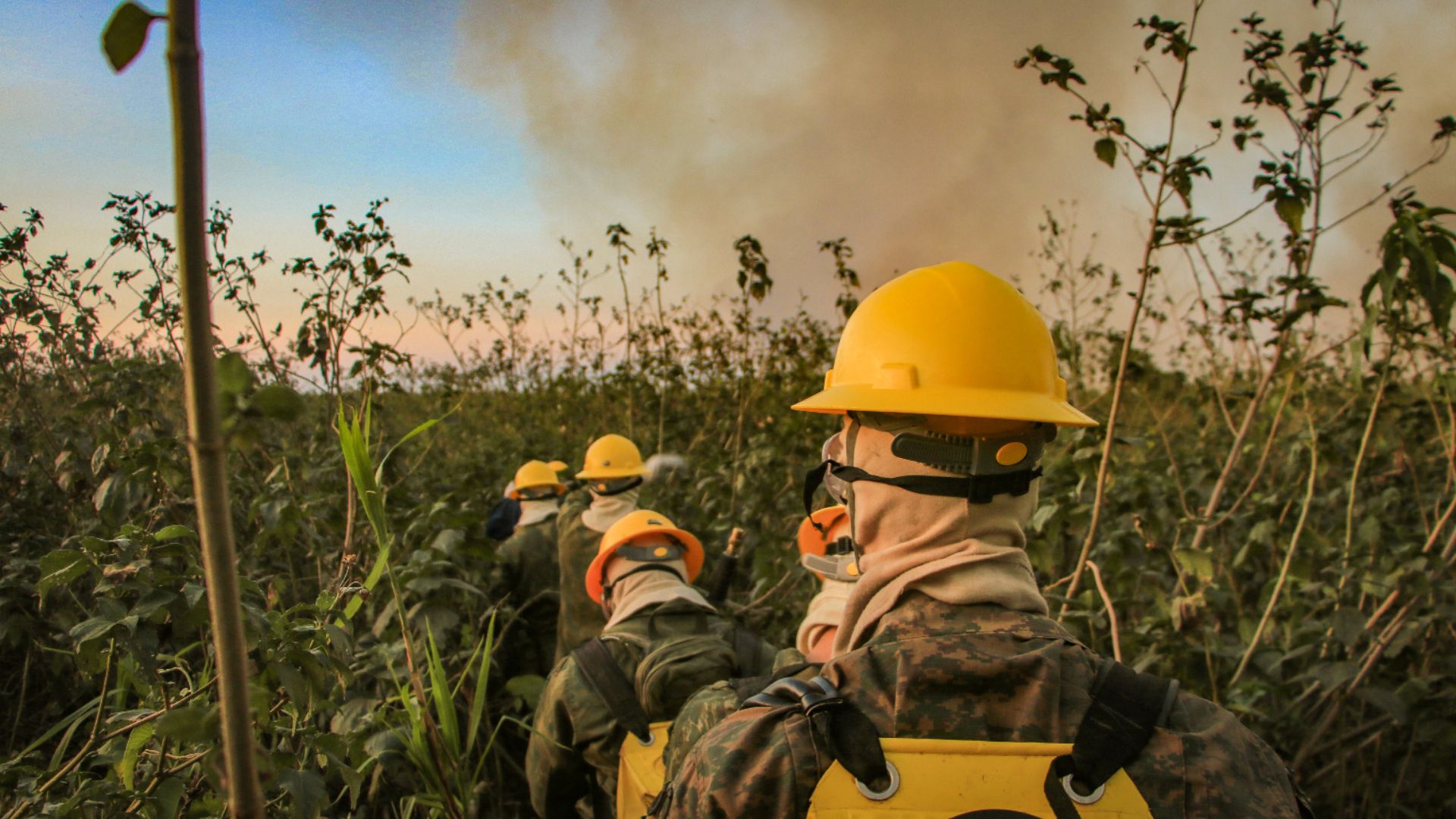 Ações de combate aos incêndios florestais no Pantanal - 2024