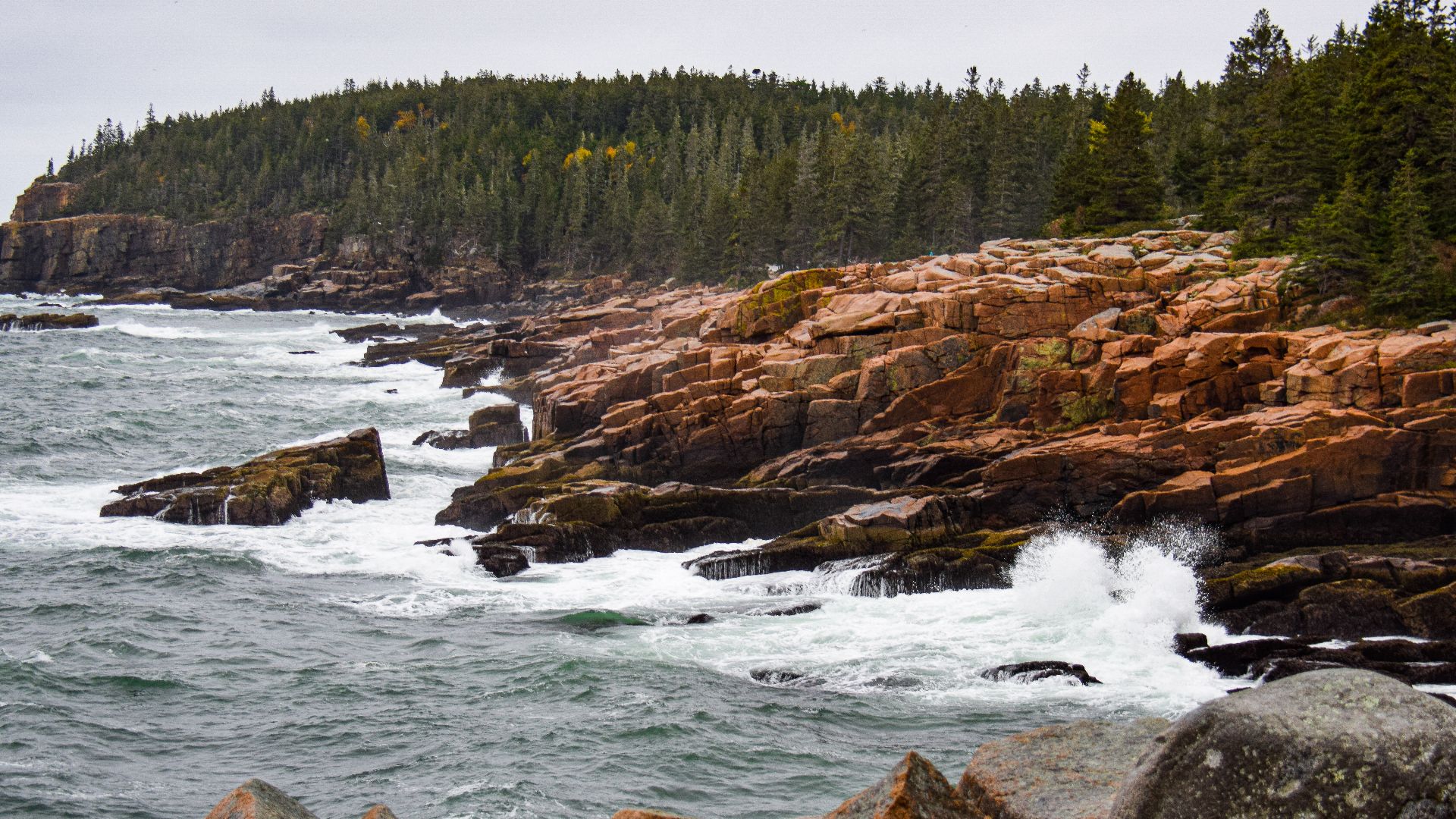 Acadia National Park