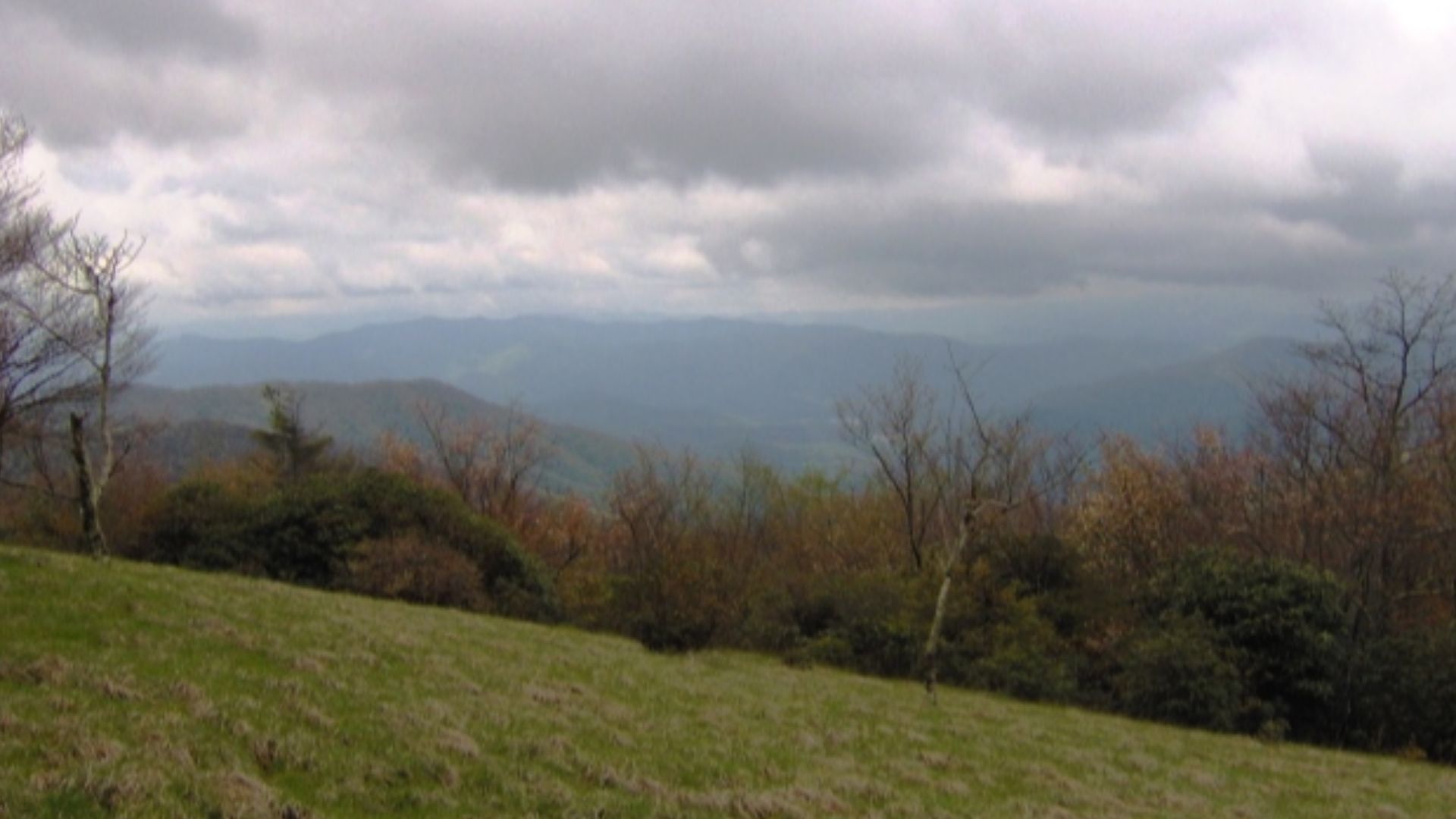 Looking southeast from Spence Field (el. 4,950/1,508 meters) in the Great Smoky Mountains.  The Little Tennessee River watershed is below.