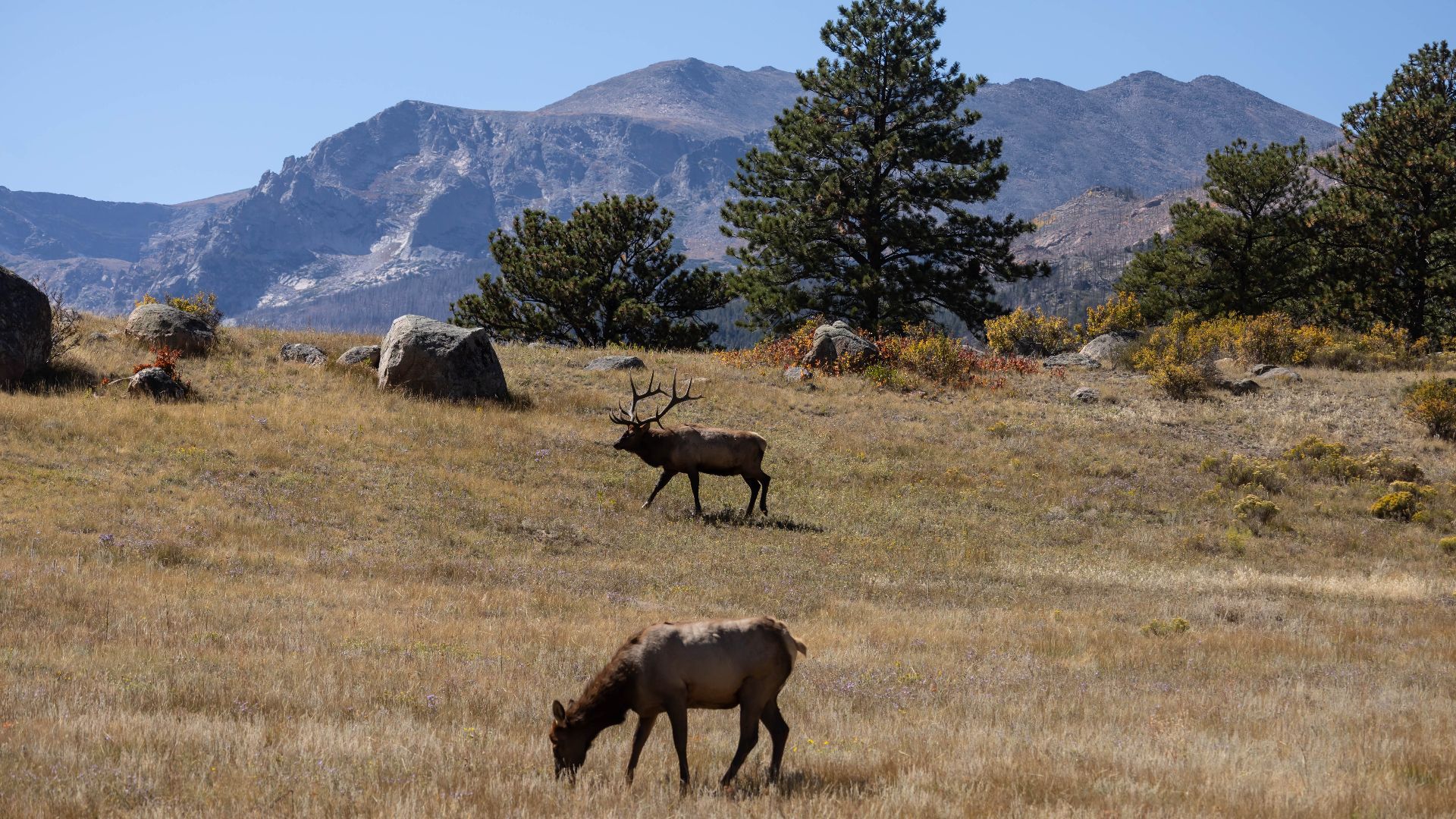 A day at Rocky Mountain National Park. Colorado. Estes Park. Grand Lake.