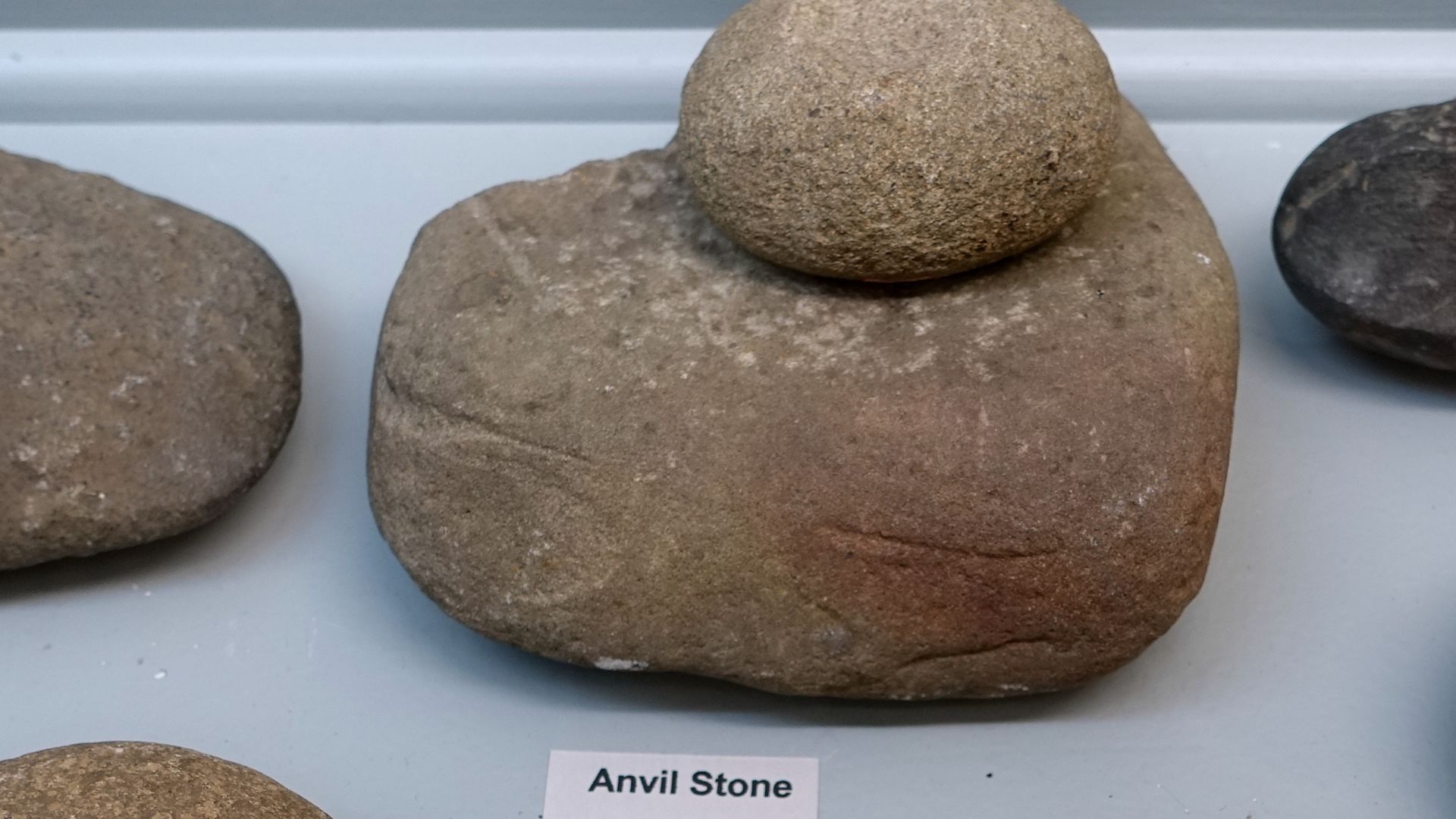 Archaeological exhibit in the Robbins Museum, 17 Jackson Street, Middleborough, Massachusetts, USA.