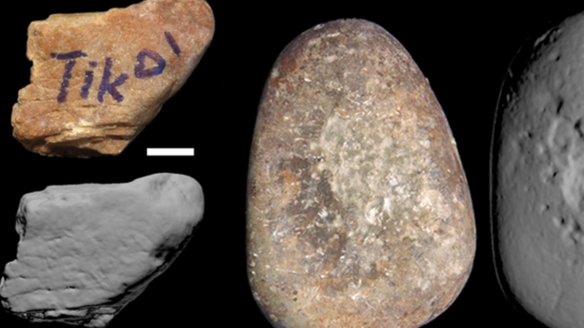 Macaca fascicularis aurea stone tools.
Each tool is accompanied by a photo of the tool in use by a macaque prior to its collection. Each tool is represented by a photograph (with 1 cm scale) and a 3D scan of the same face, displaying use-wear. Tool codes 